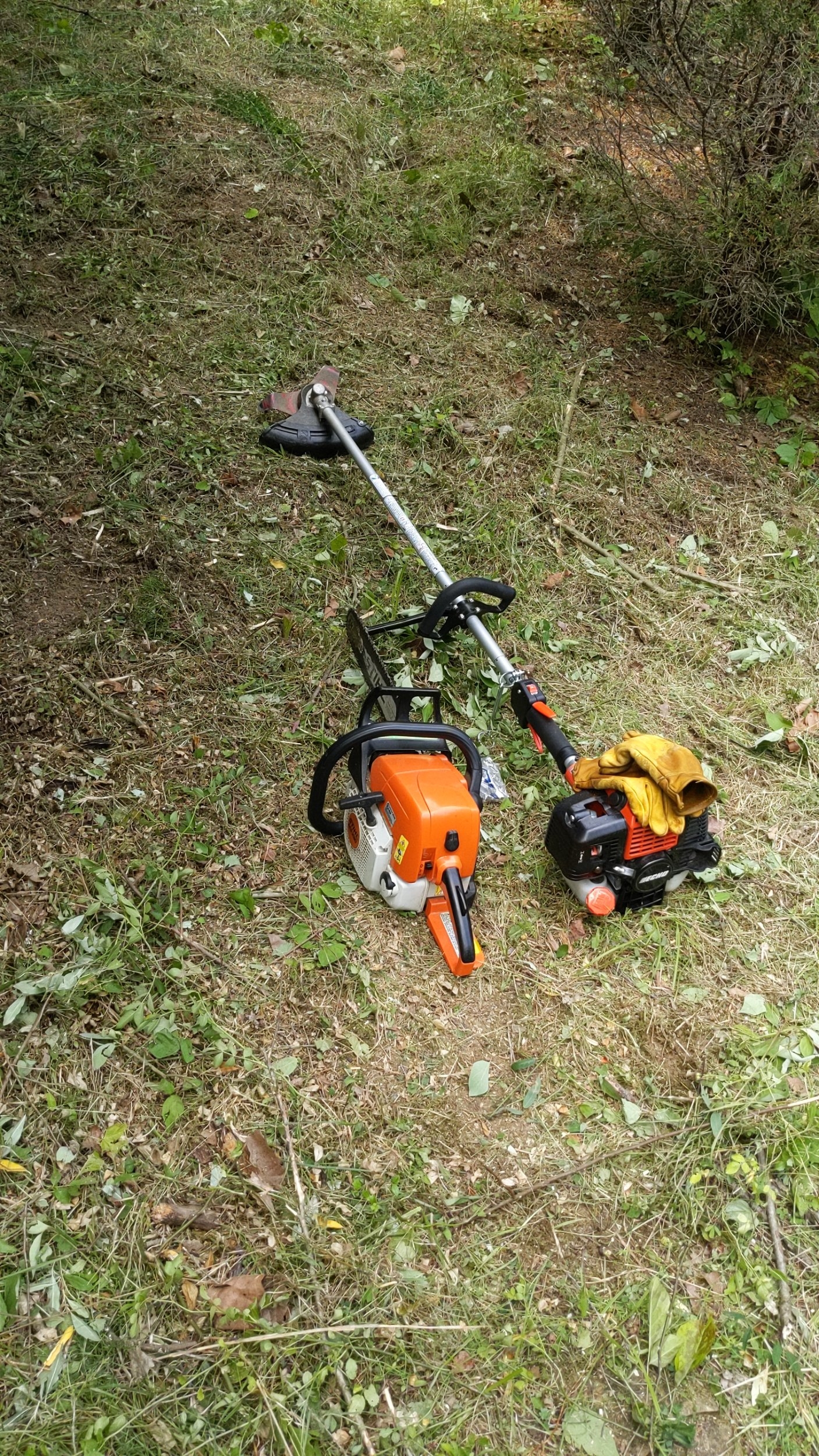 IMG_20230627_163934.jpg