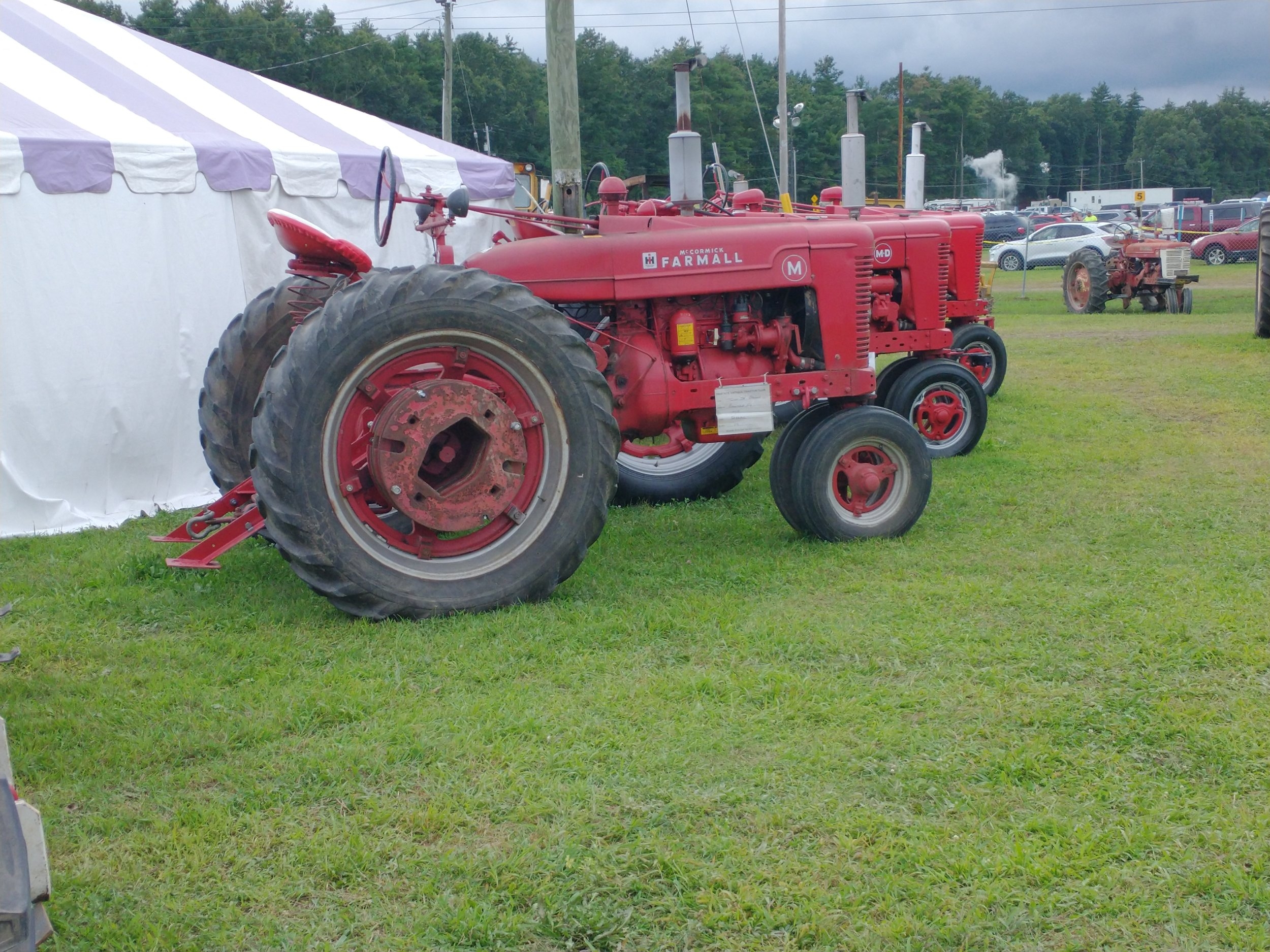 IMG_20230825_150647873.jpg
