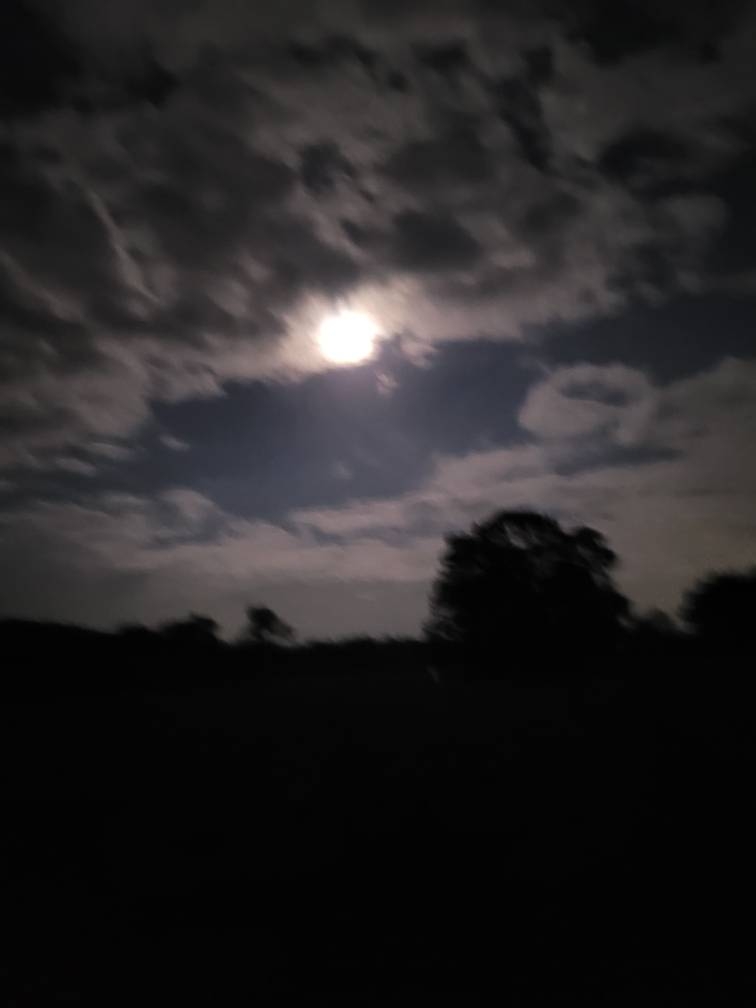 IMG_20240917_045604.jpg