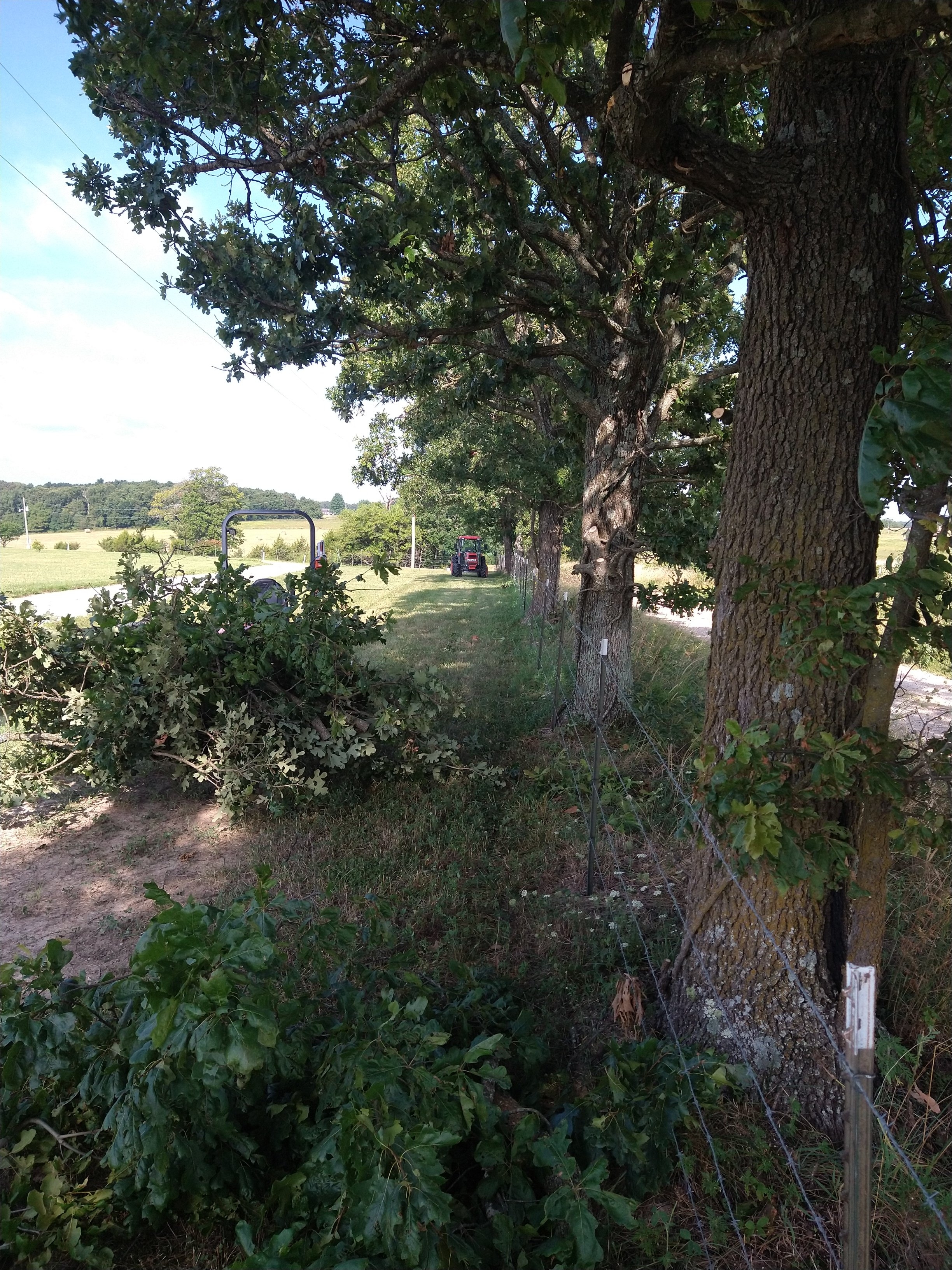IMG_20250727_092508686.jpg