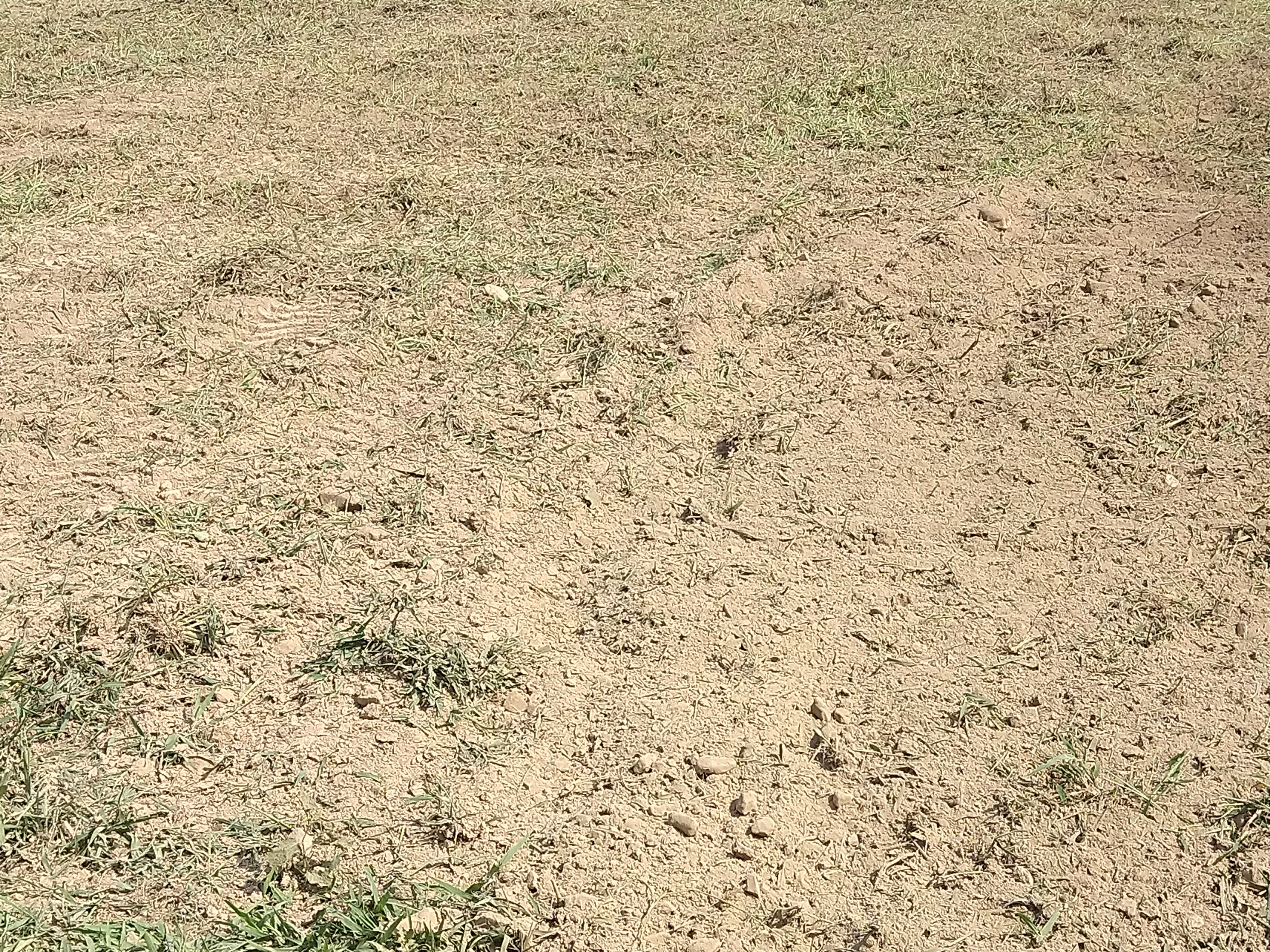 IMG_20250727_103415201.jpg