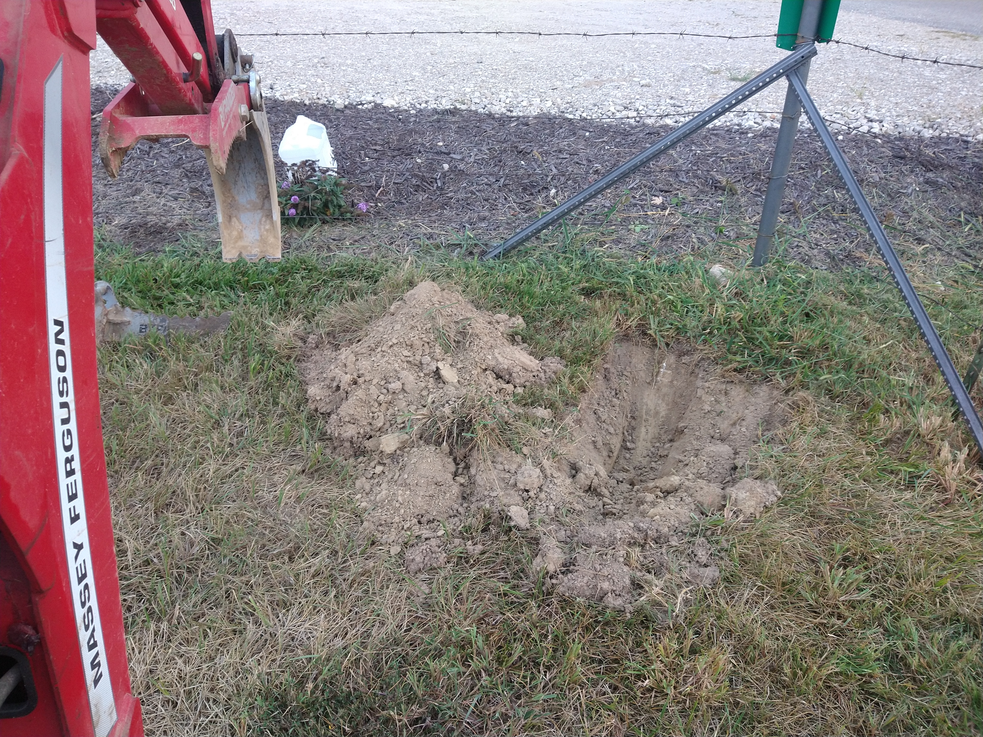 IMG_20250831_071921989.jpg