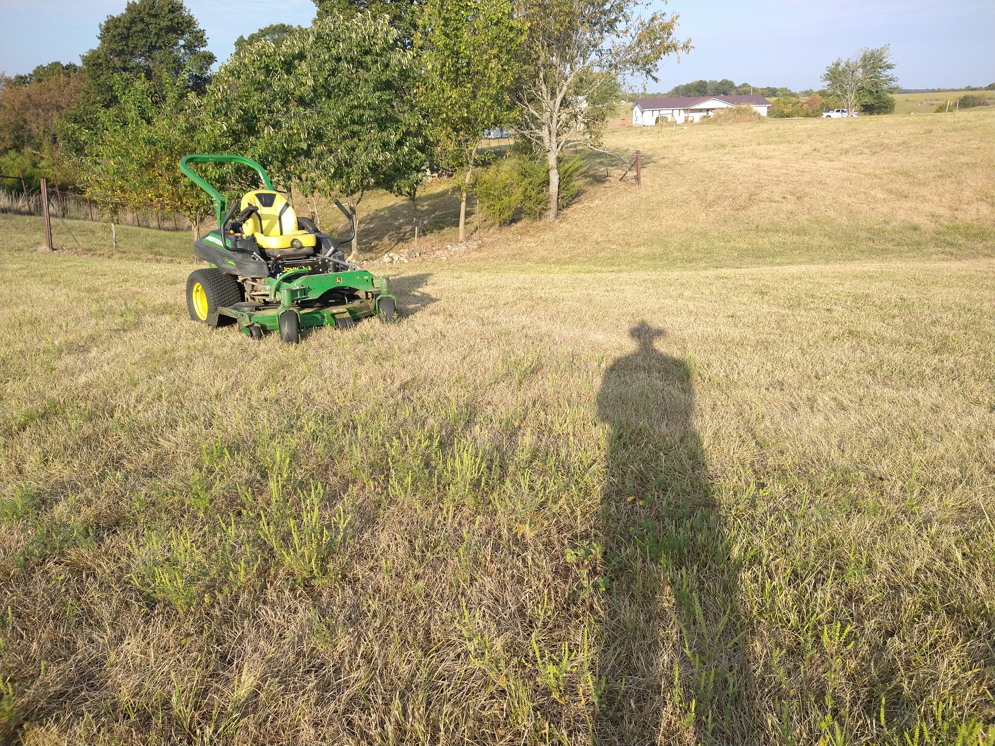 IMG_20250913_083220428.jpg