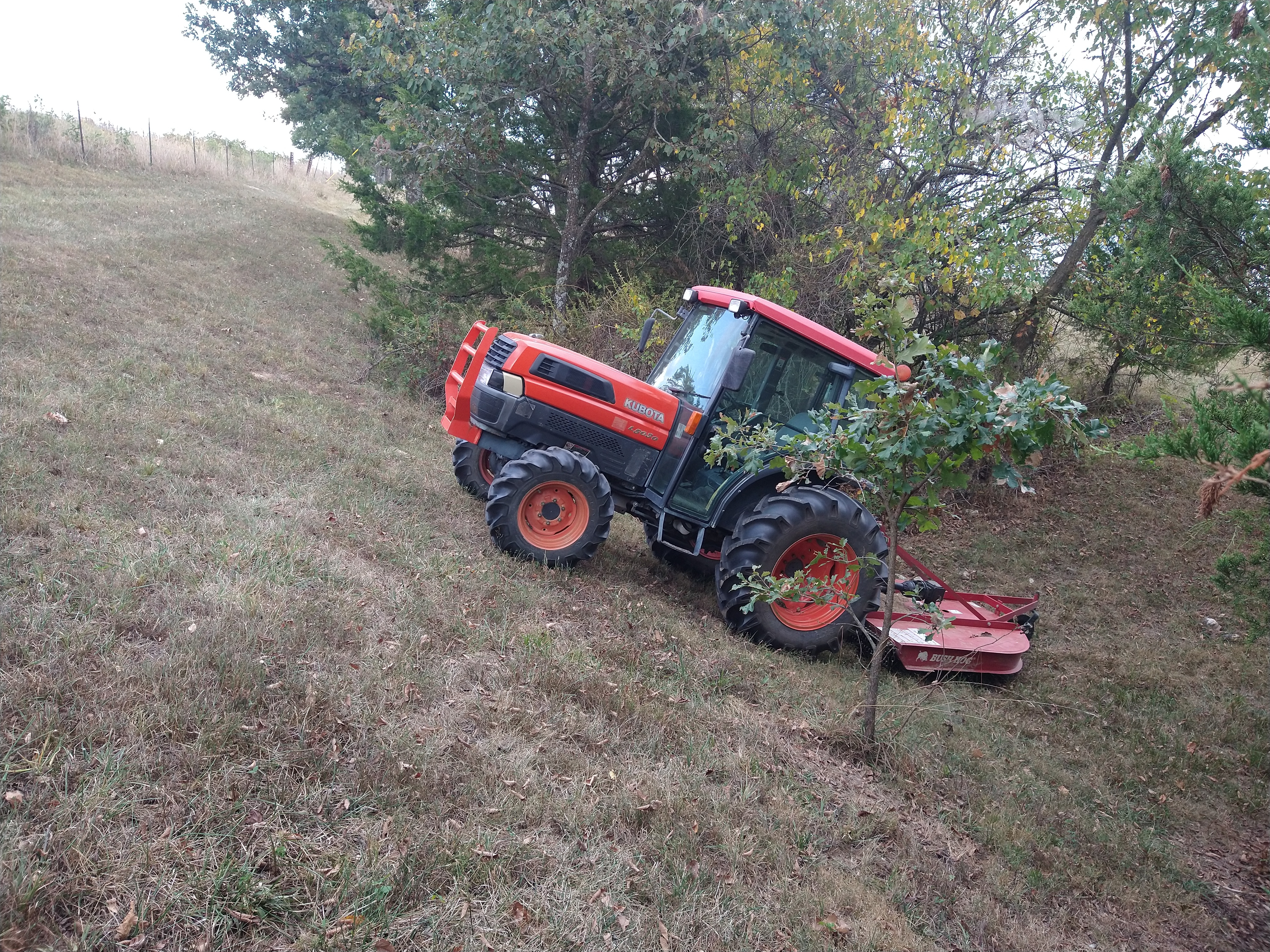 IMG_20250913_164830173.jpg