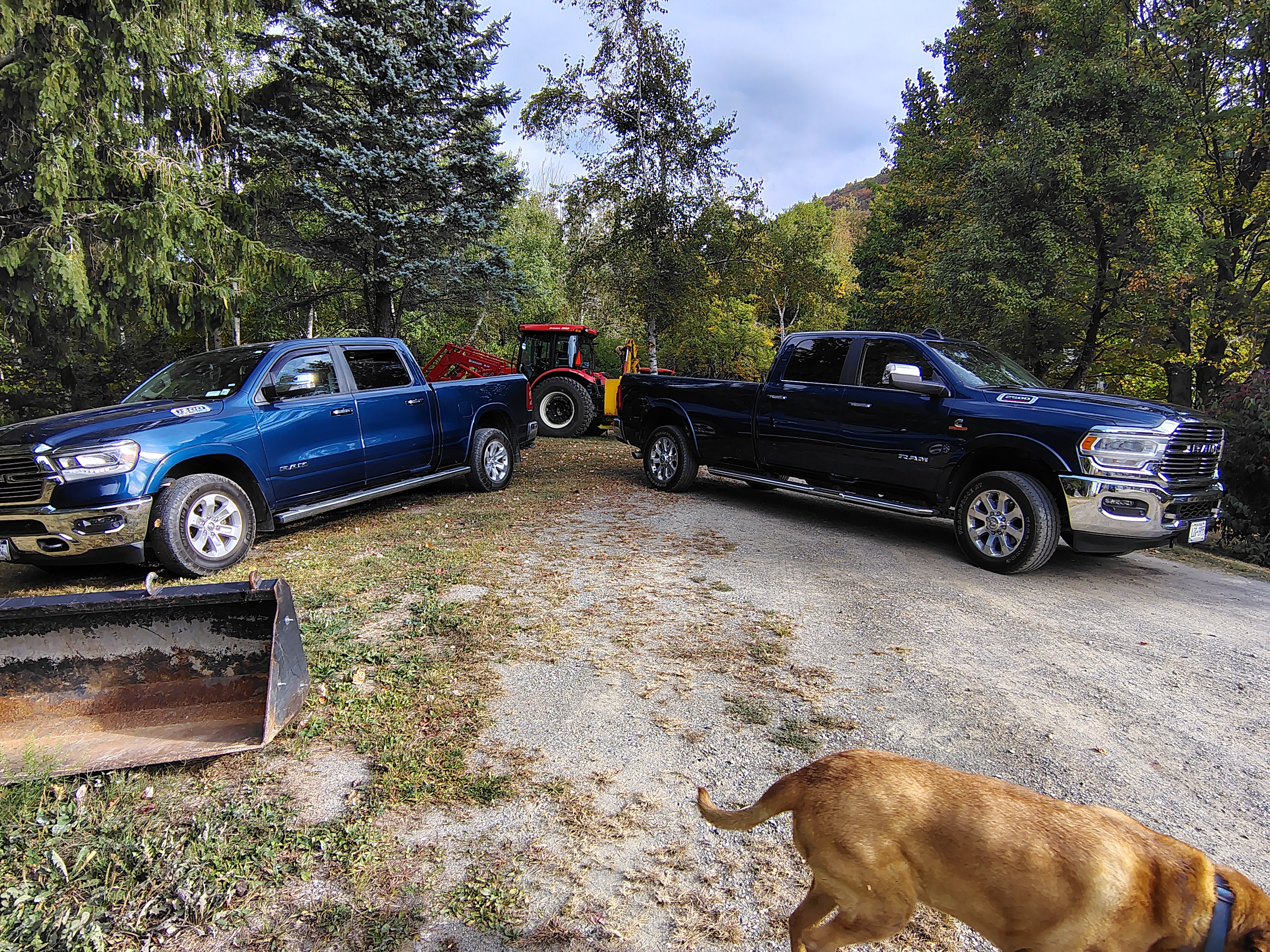 IMG_20250917_090728406_HDR.jpg