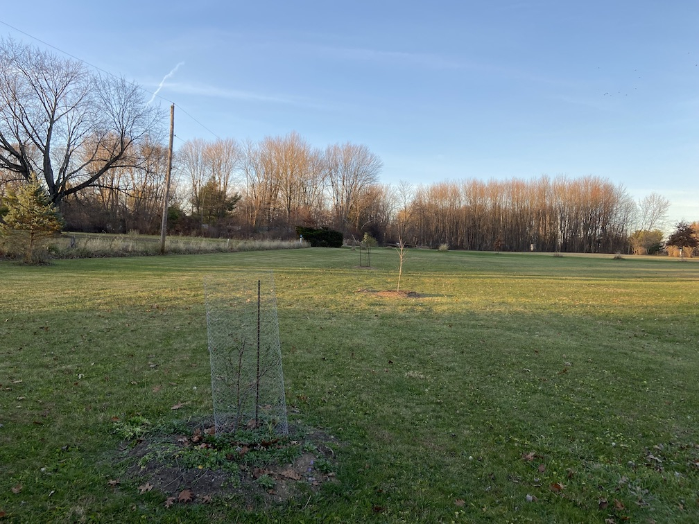 IMG_2090 copy.jpg IMG_2090 copy.jpg