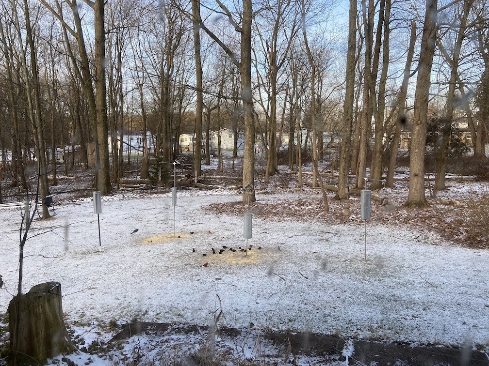 IMG_2216 copy.jpg