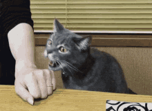 IMG_2395.gif
