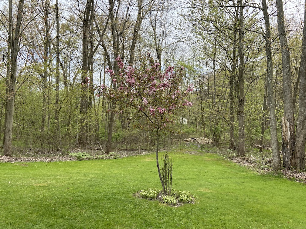 IMG_2521 copy.jpg