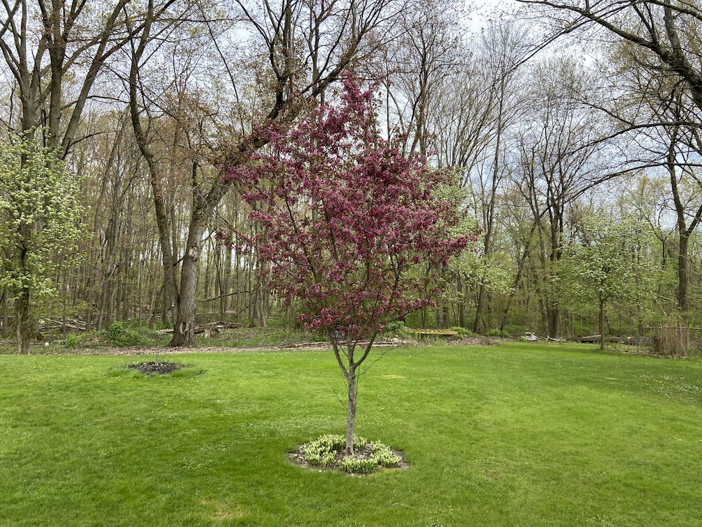 IMG_2523 copy.jpg