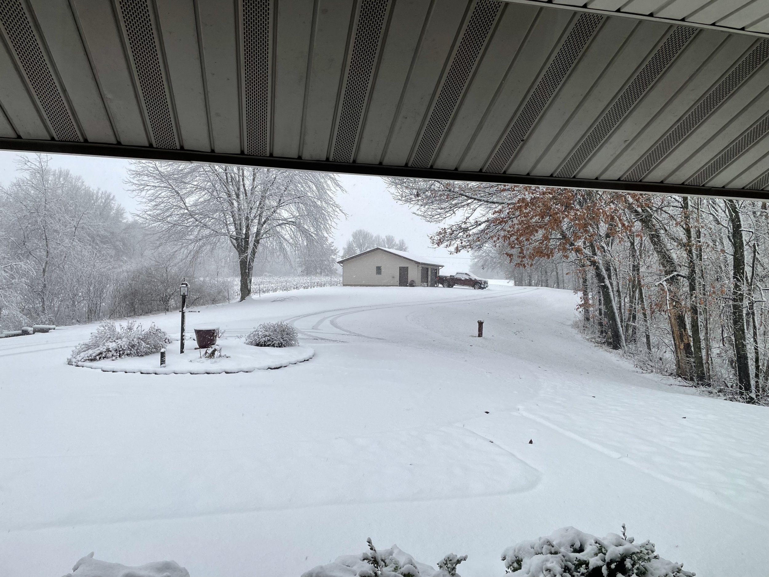 IMG_2712.jpeg