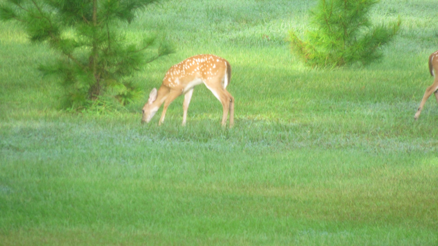 IMG_2818.JPG