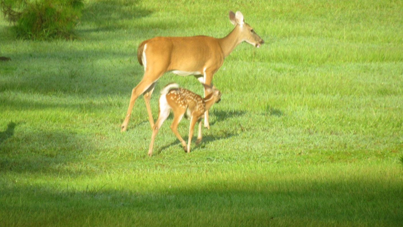 IMG_2820.JPG