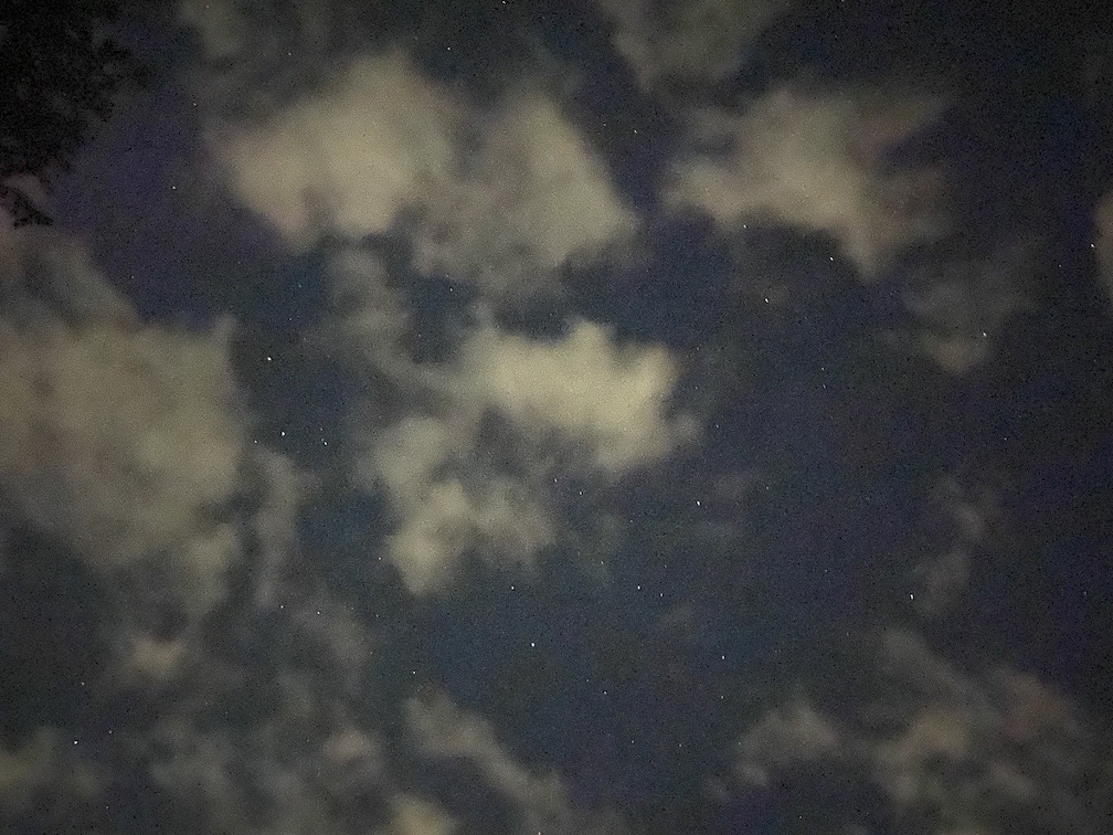 IMG_2914 copy.jpg