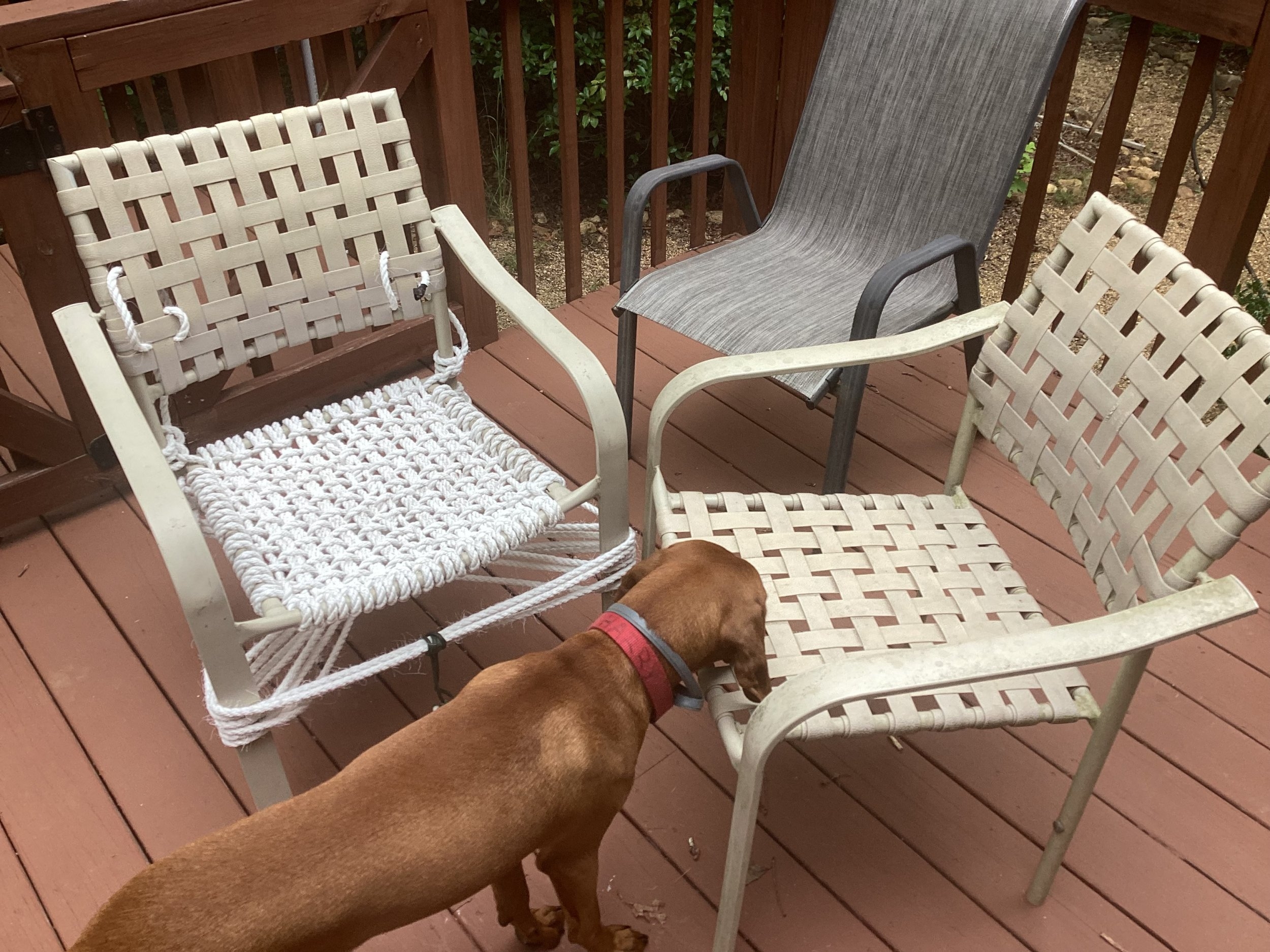 IMG_3412.jpeg
