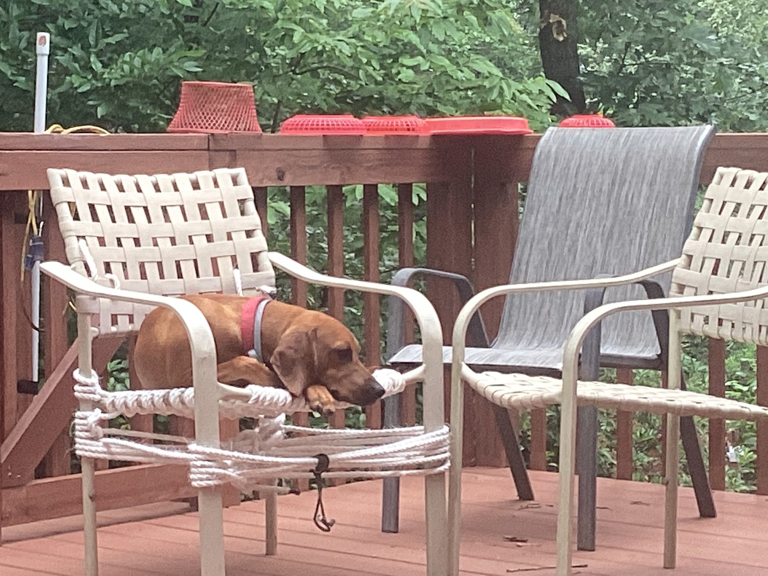 IMG_3415.jpeg