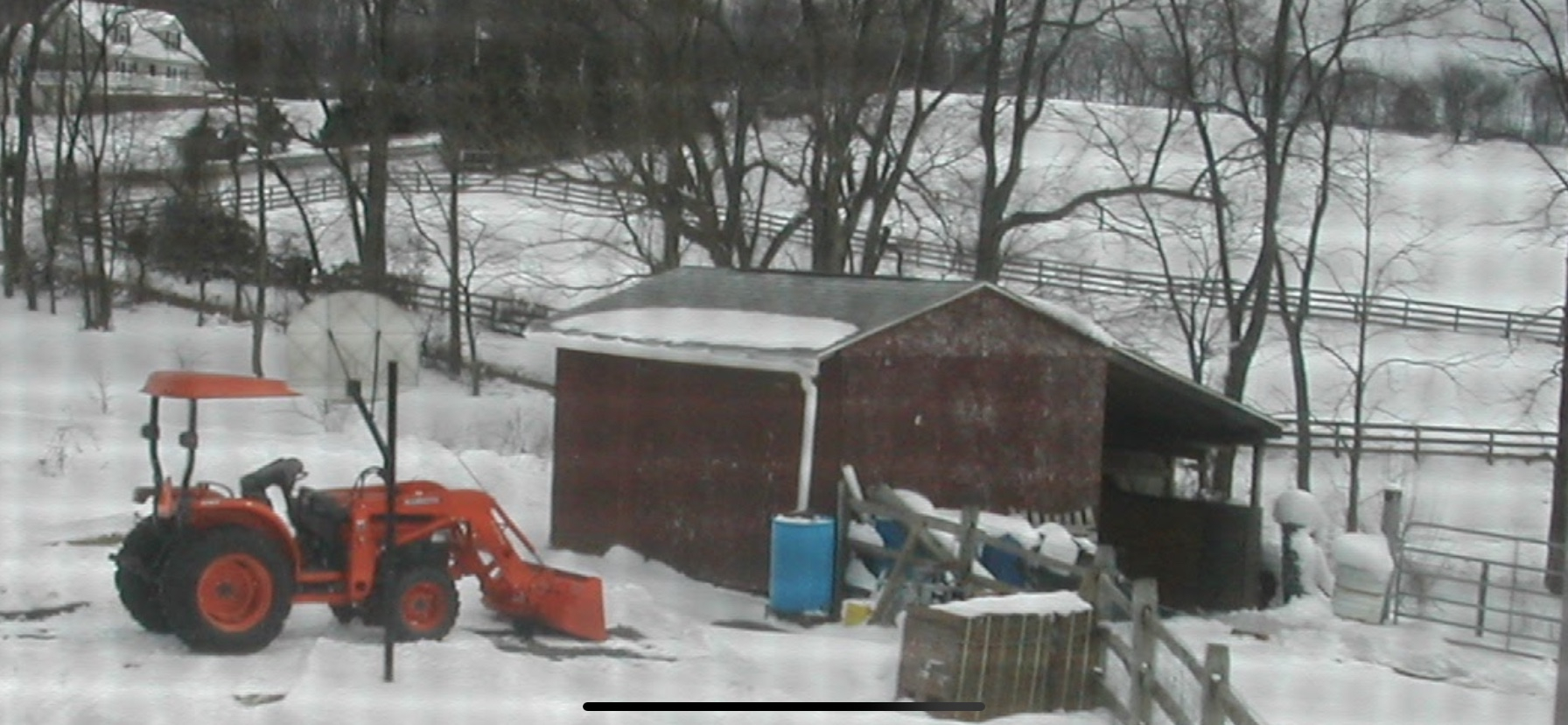 IMG_3447.JPG