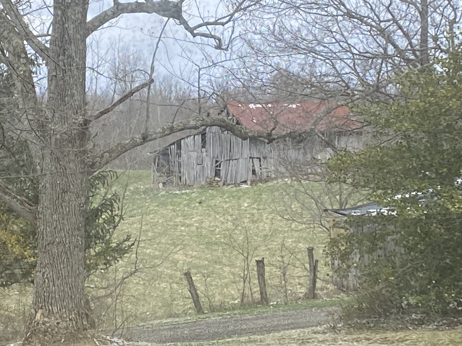 IMG_4095.JPG
