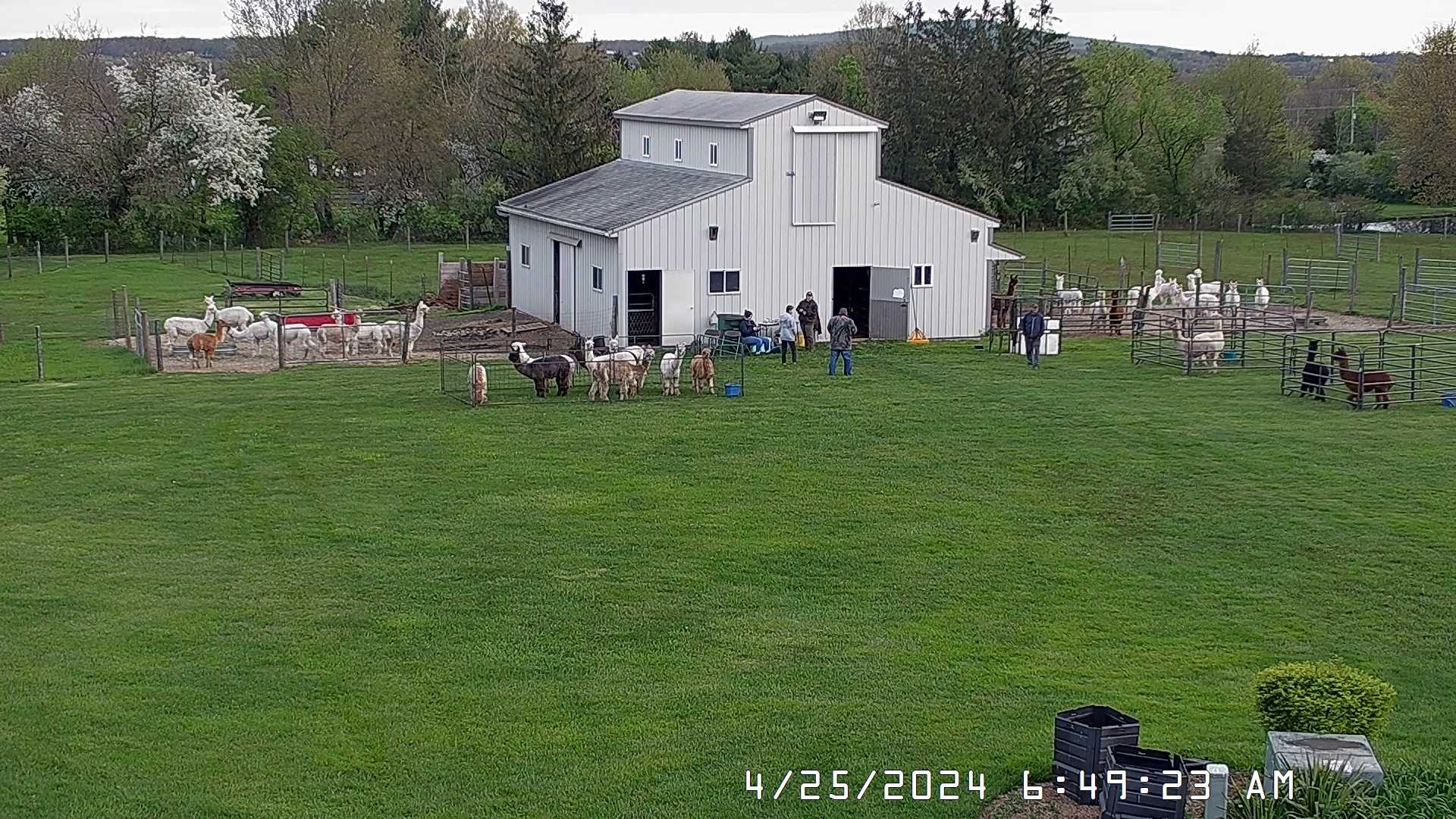 IMG_4202.jpg IMG_4202.jpg