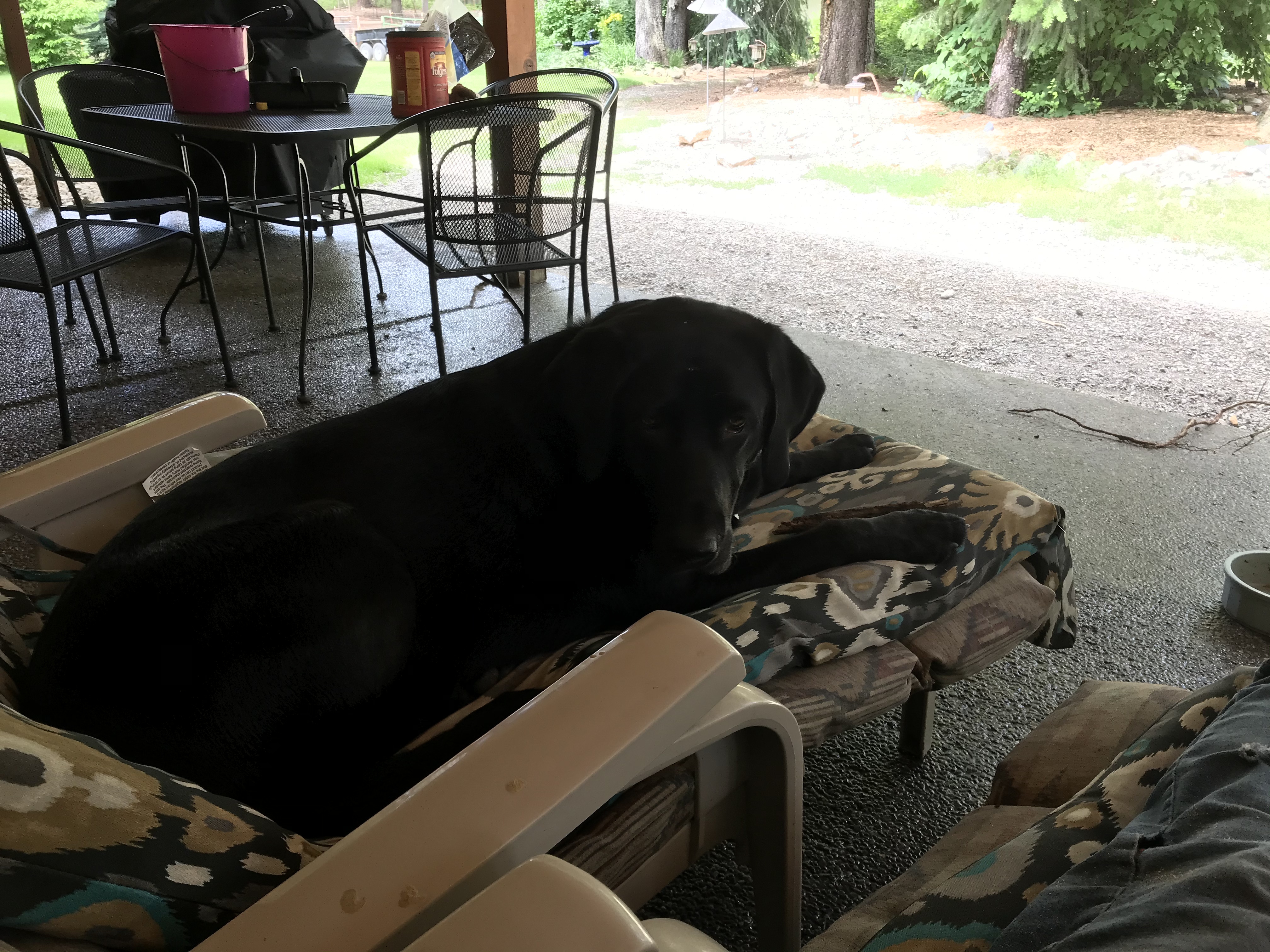 IMG_4542.jpeg