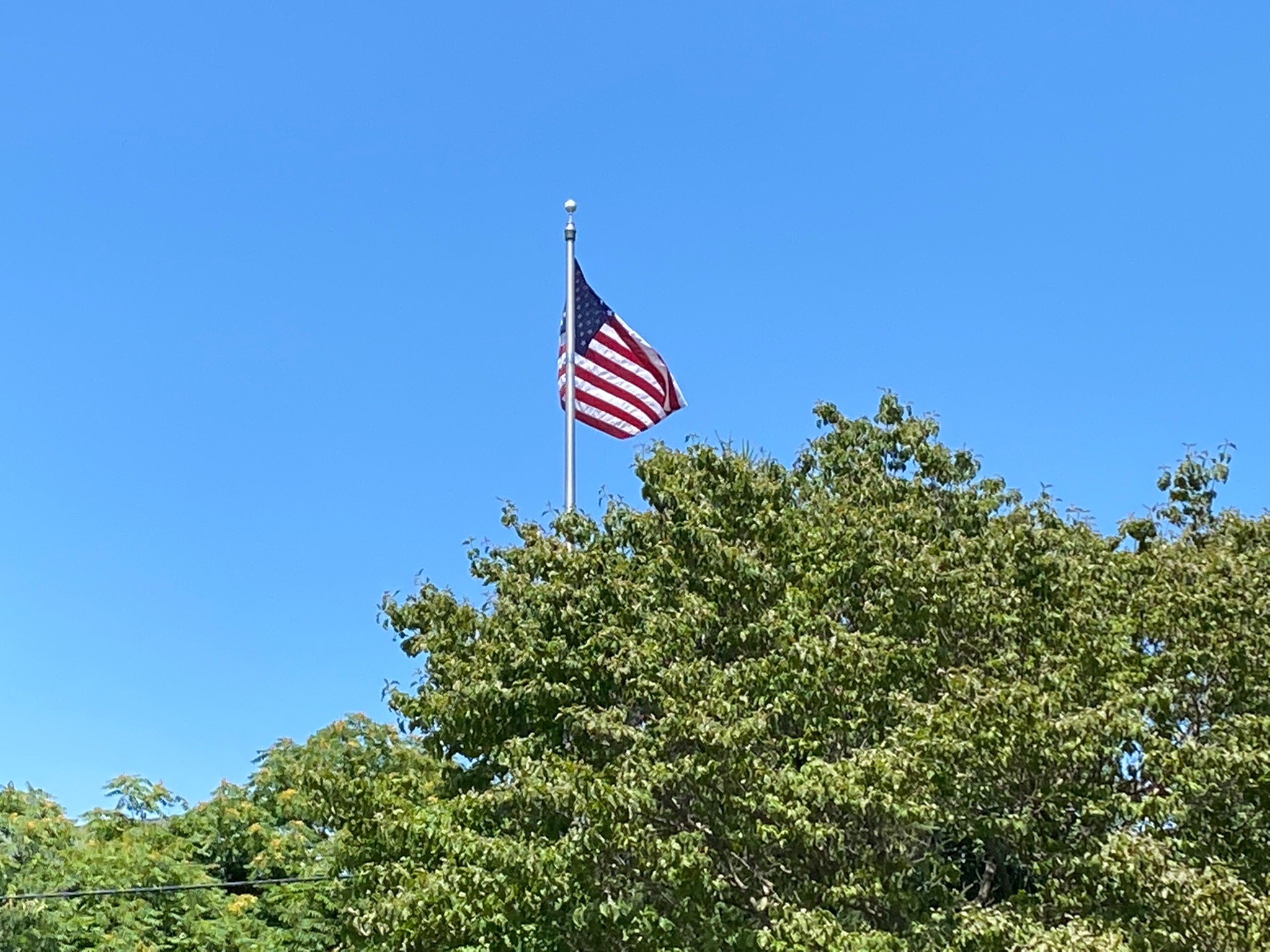 IMG_4787.JPG