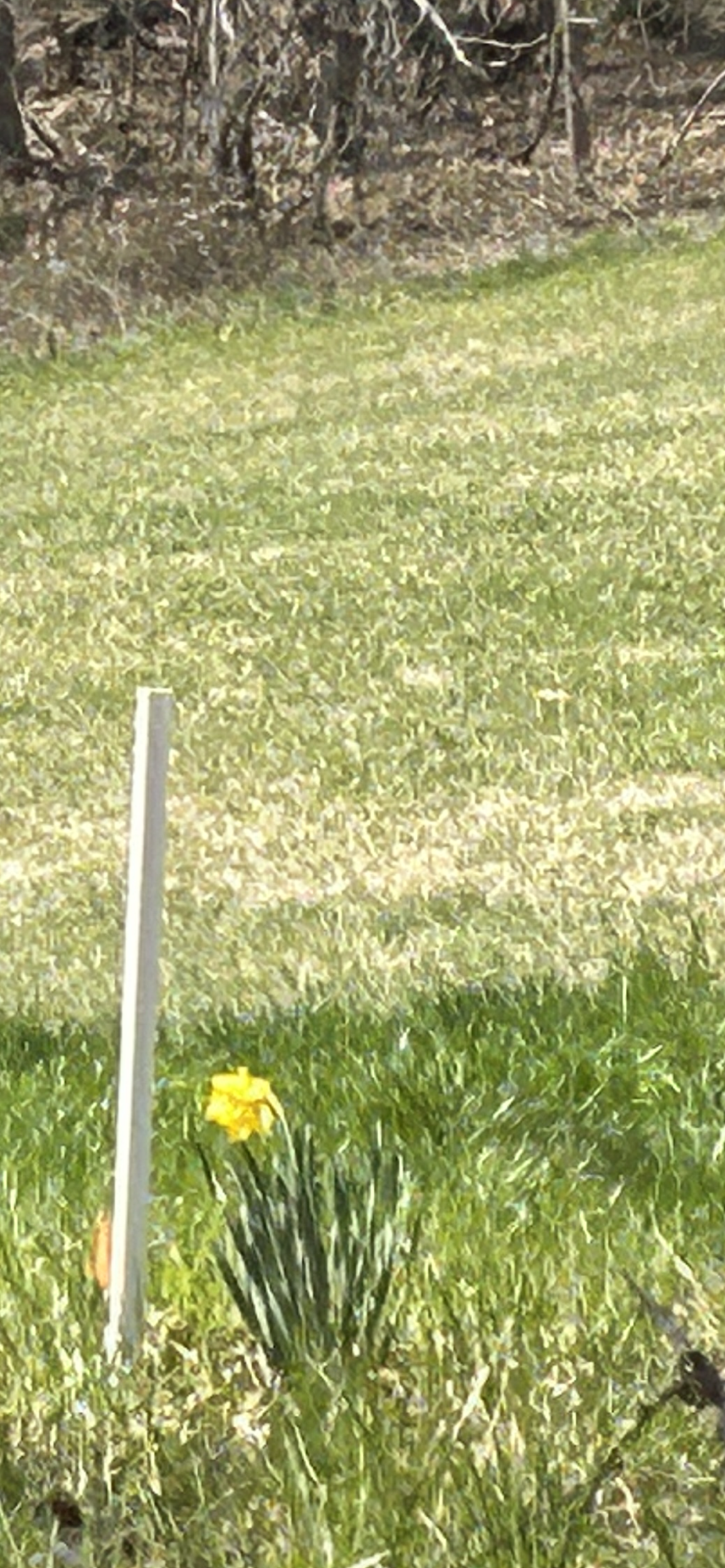 IMG_4826.png