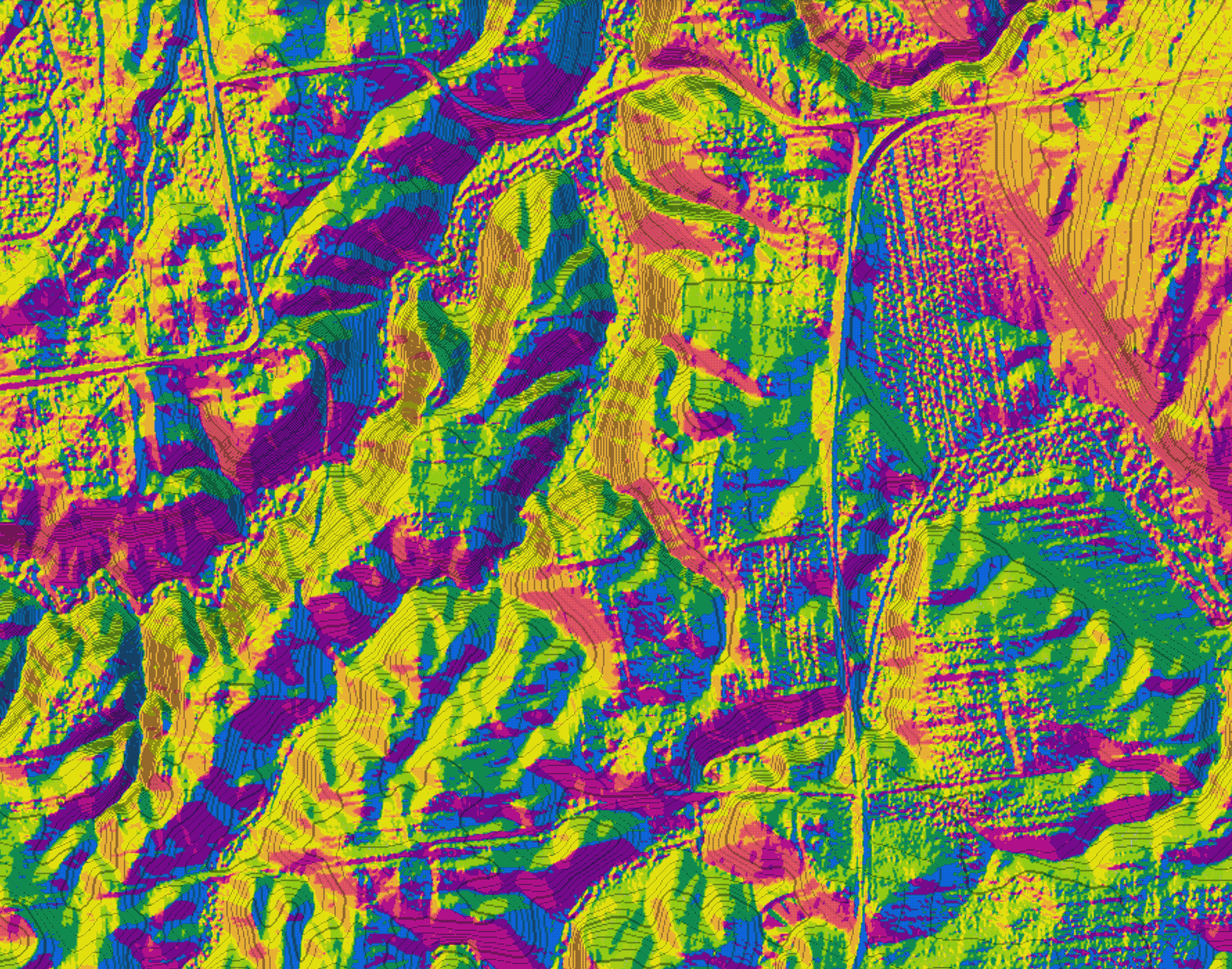 IMG_4894.gif