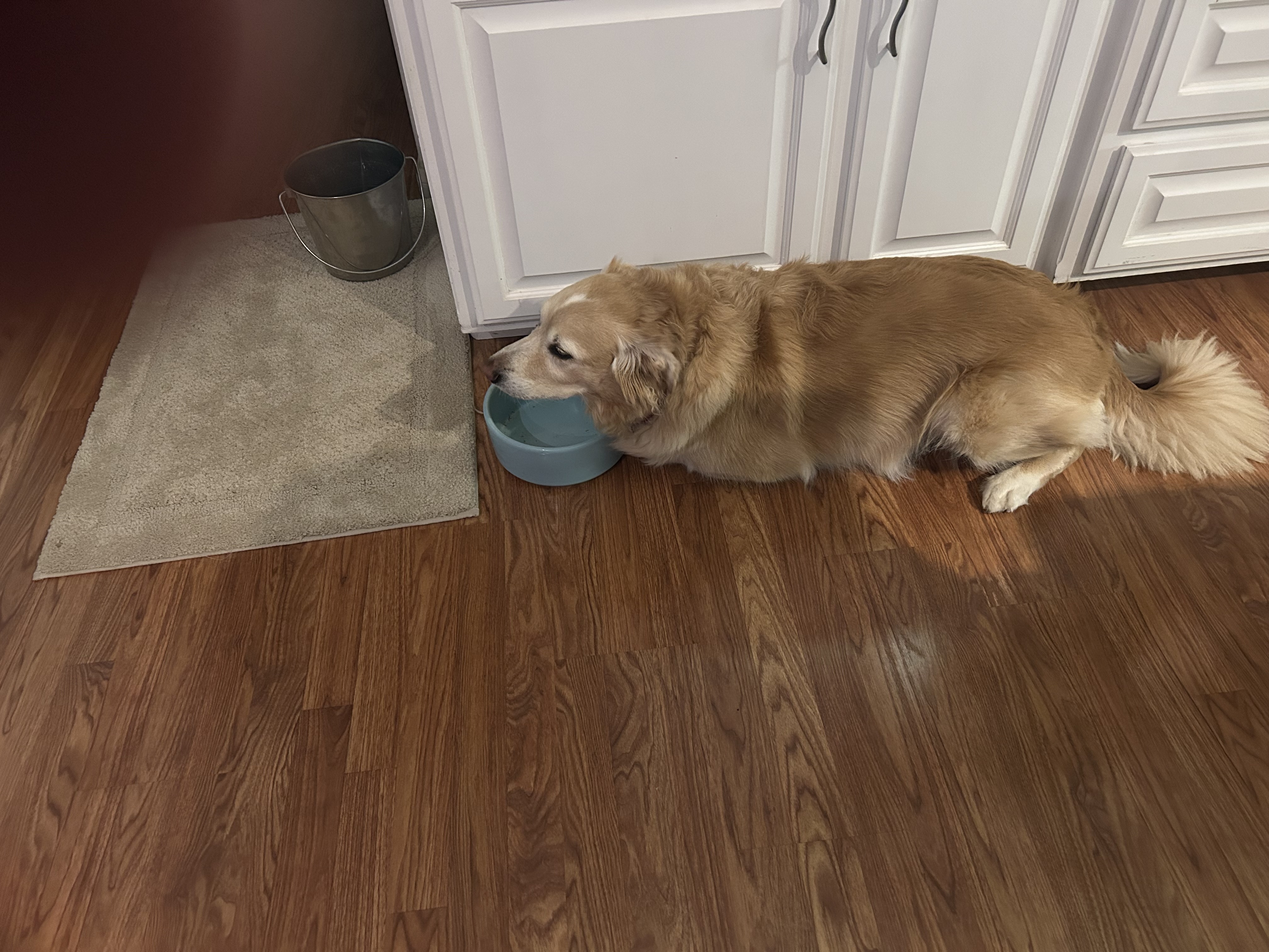IMG_5182.jpeg
