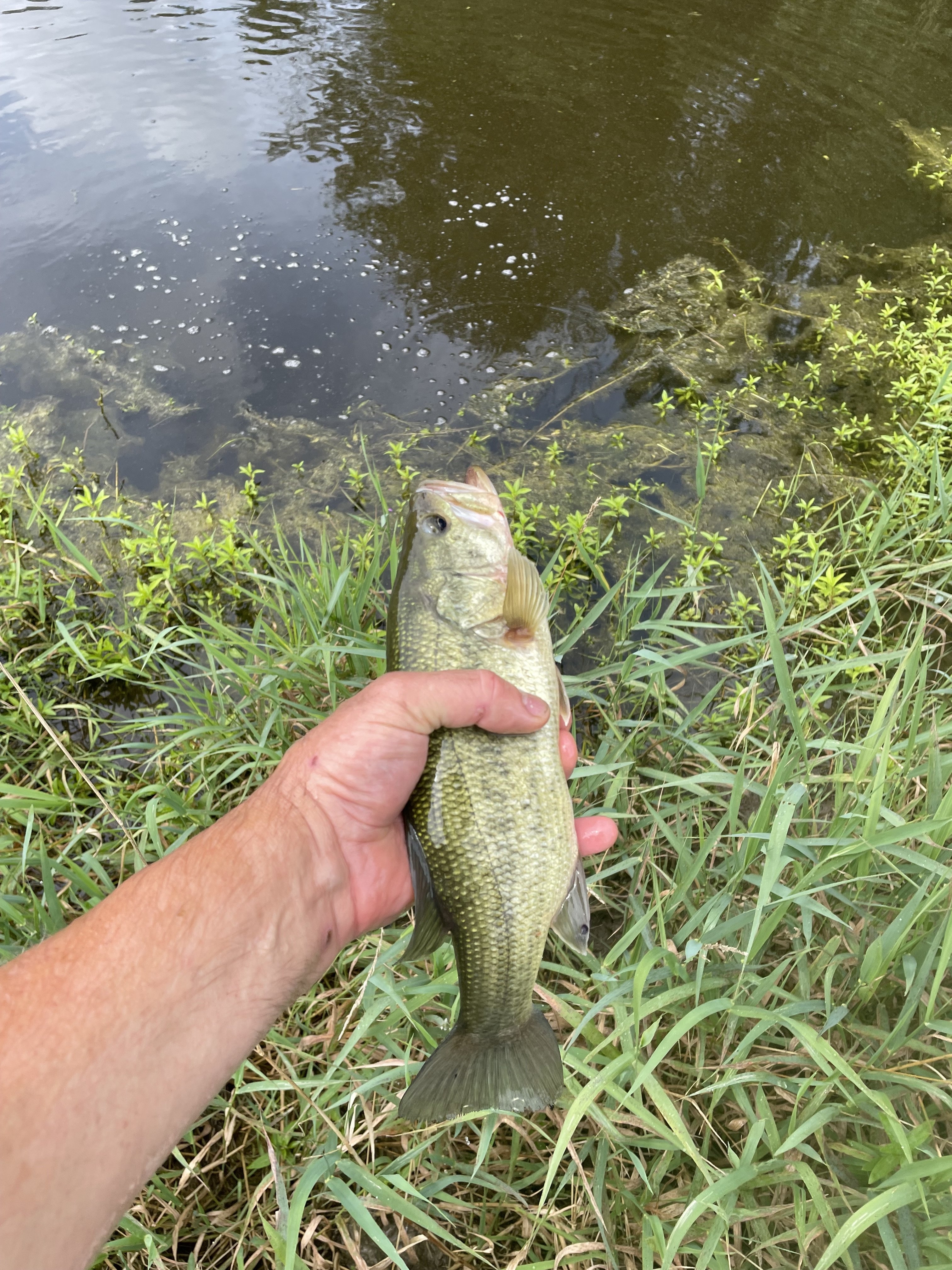 IMG_5201.jpeg