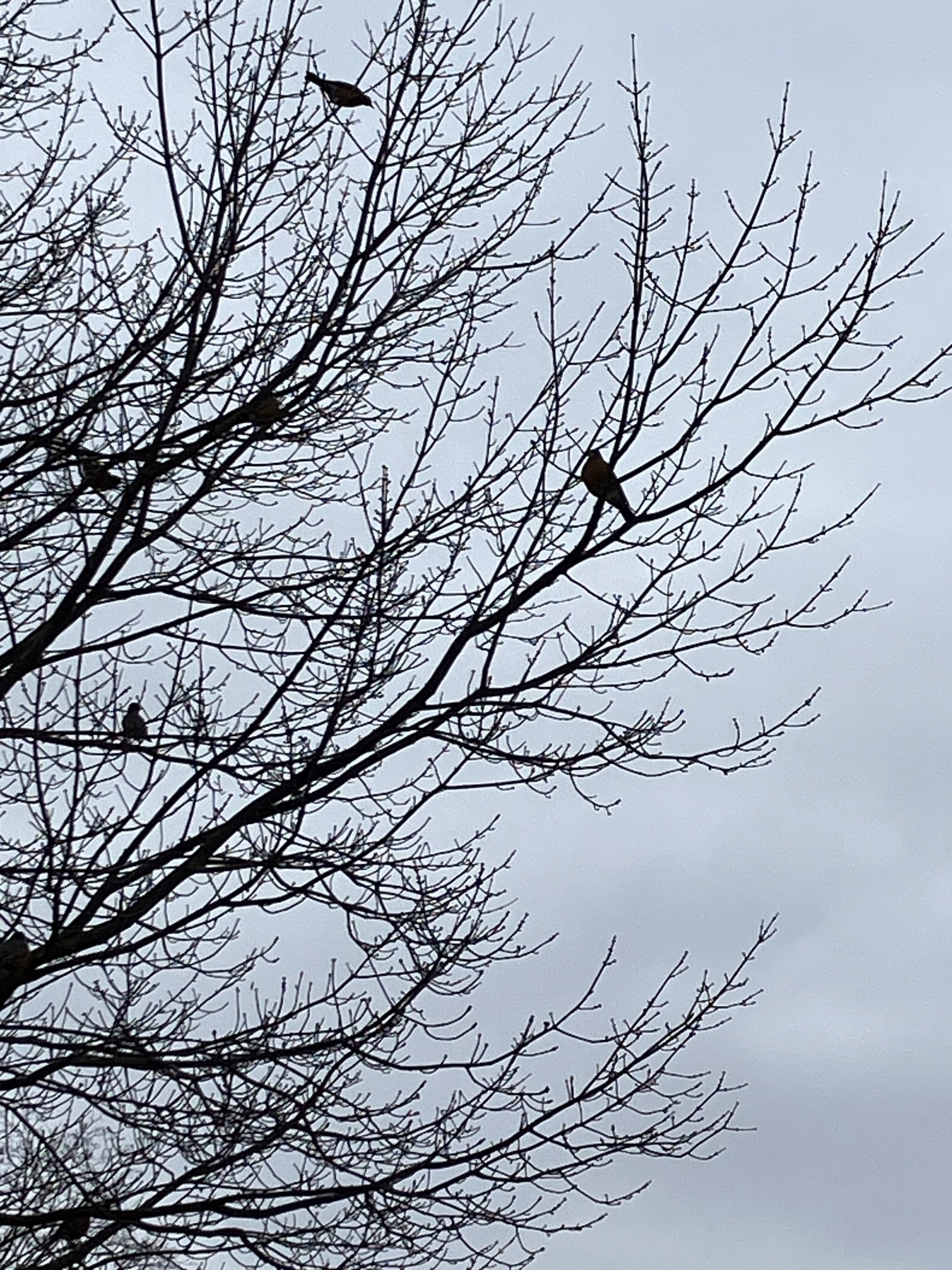 IMG_5953.jpeg