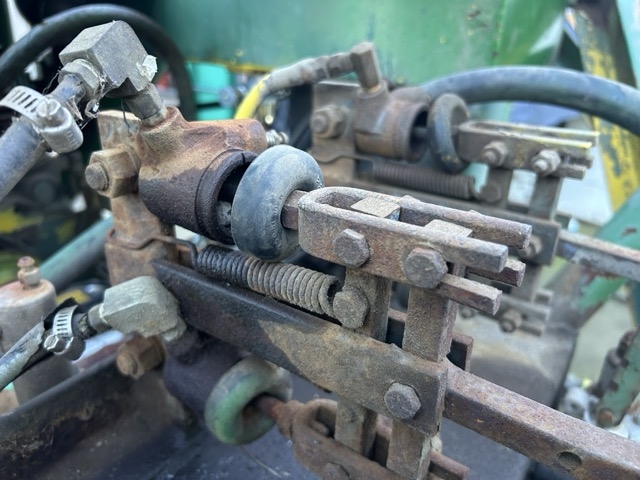 IMG_6117 Medium.jpeg