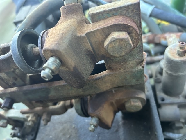 IMG_6119 Medium.jpeg