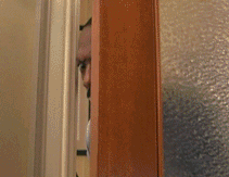 IMG_6946.gif