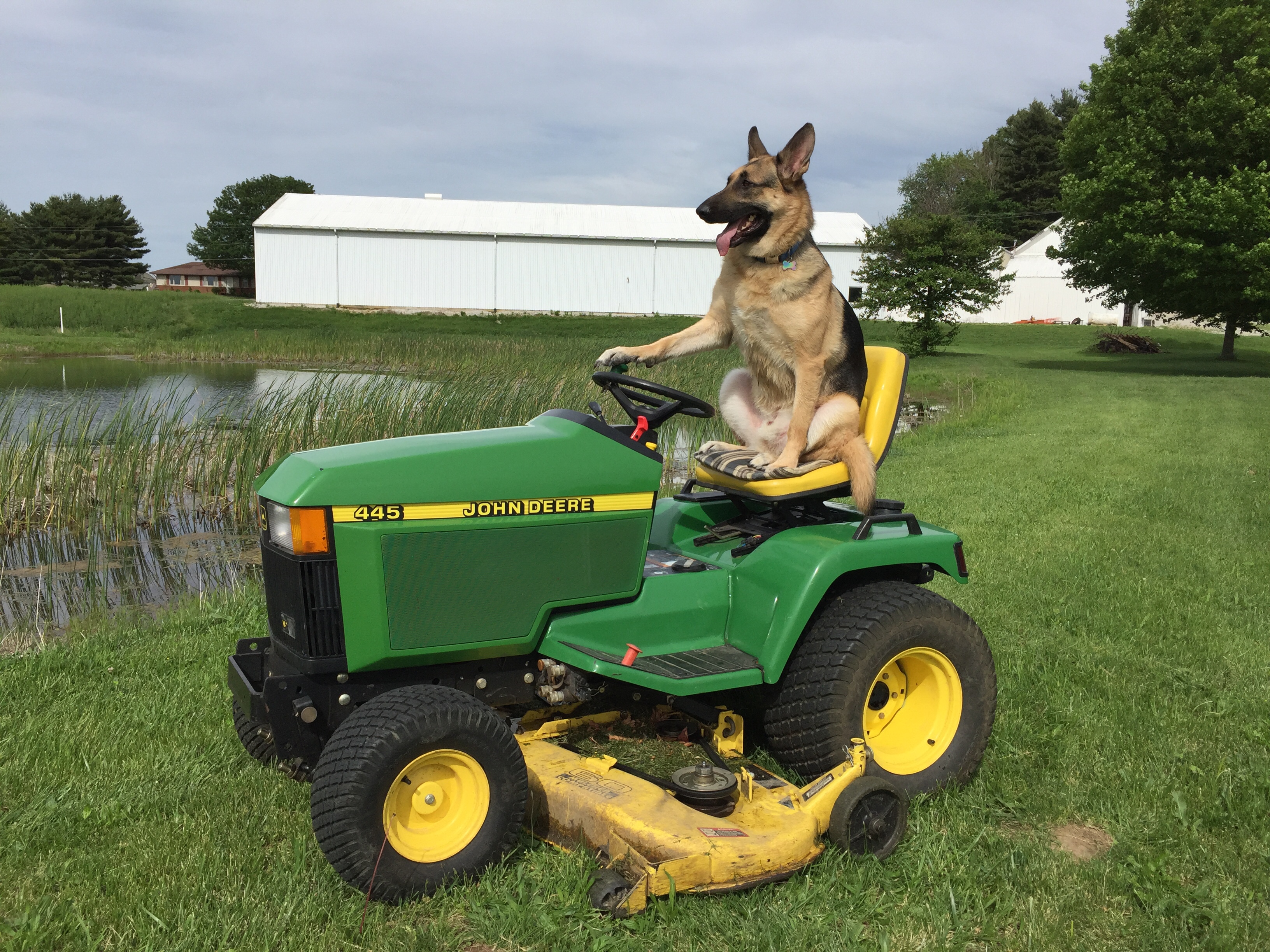 Price Check 1996 John Deere 445 current value TractorByNet