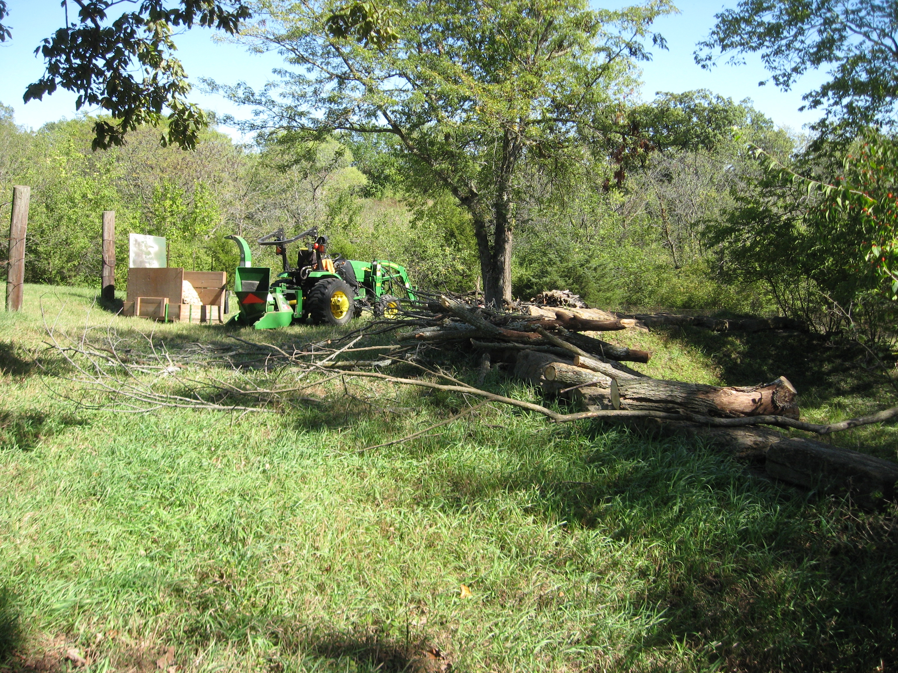 IMG_7661.JPG