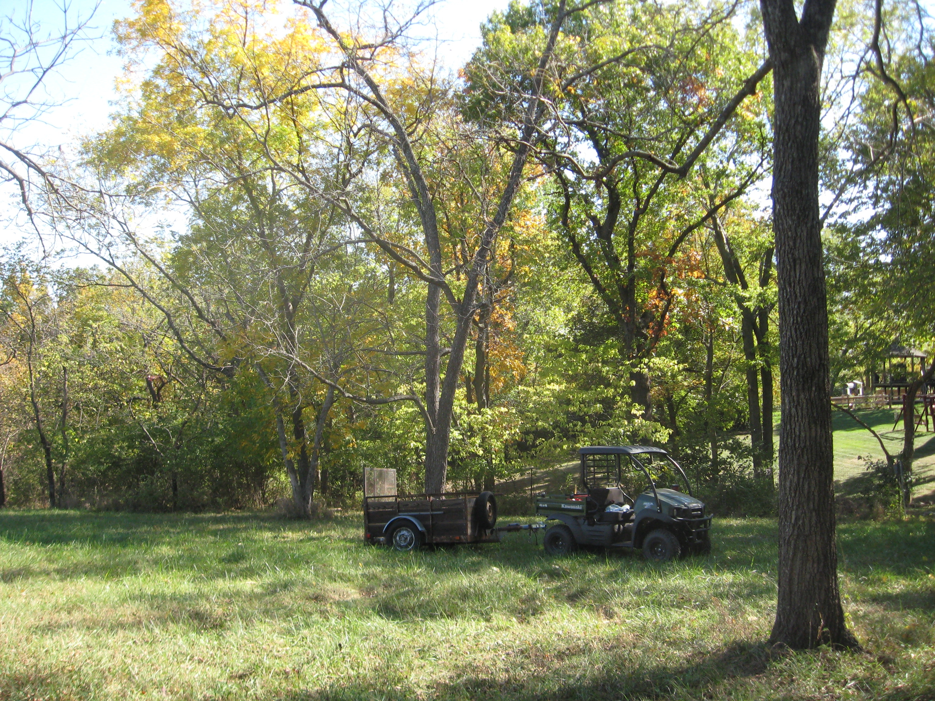 IMG_7742.JPG