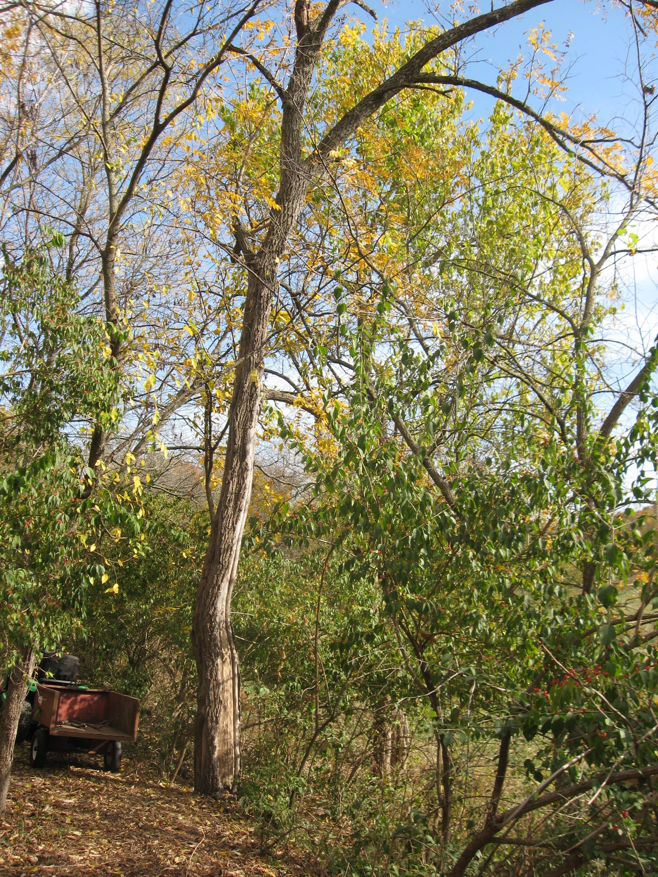 IMG_7756.JPG
