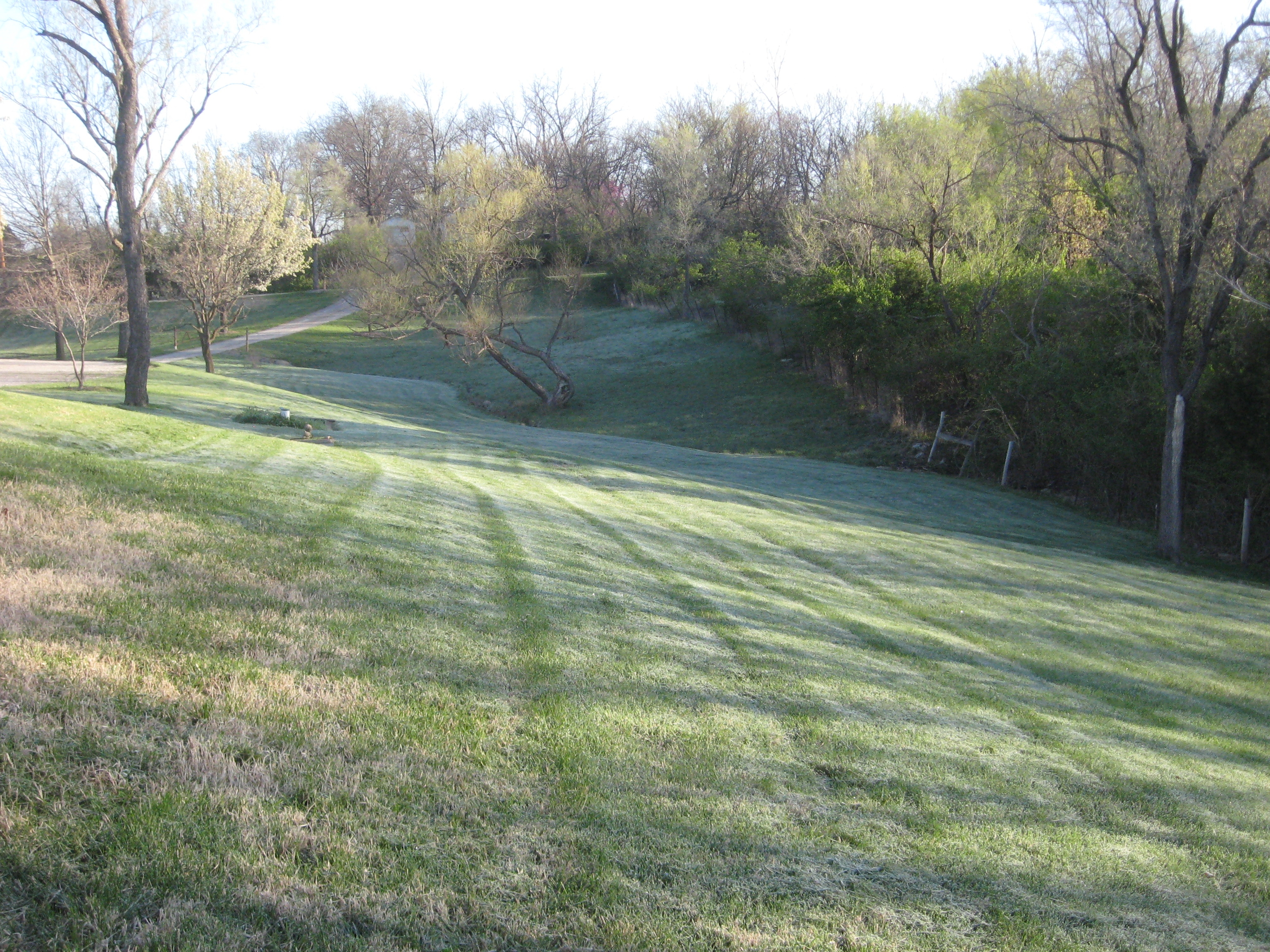 IMG_7890.JPG