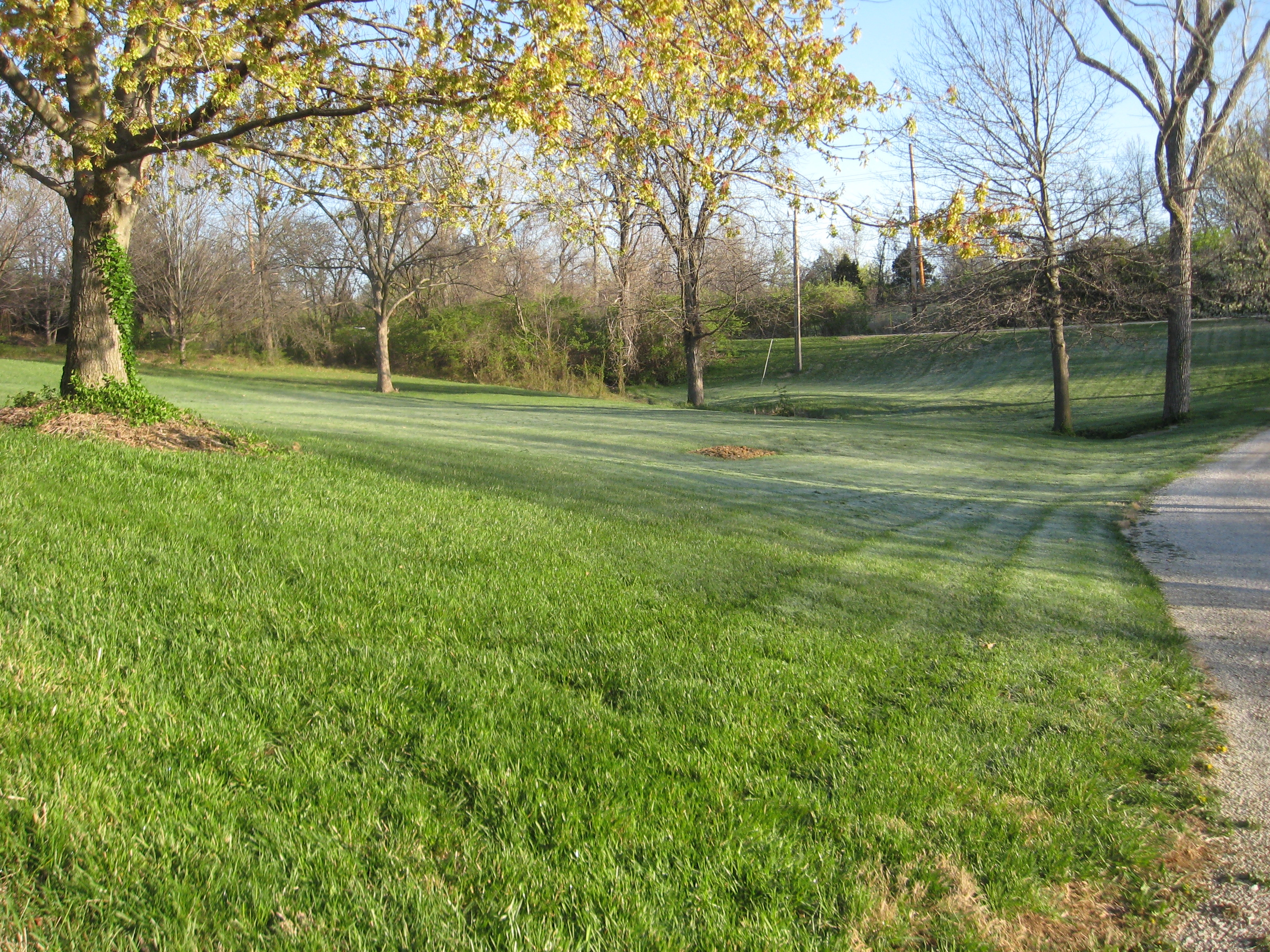IMG_7891.JPG
