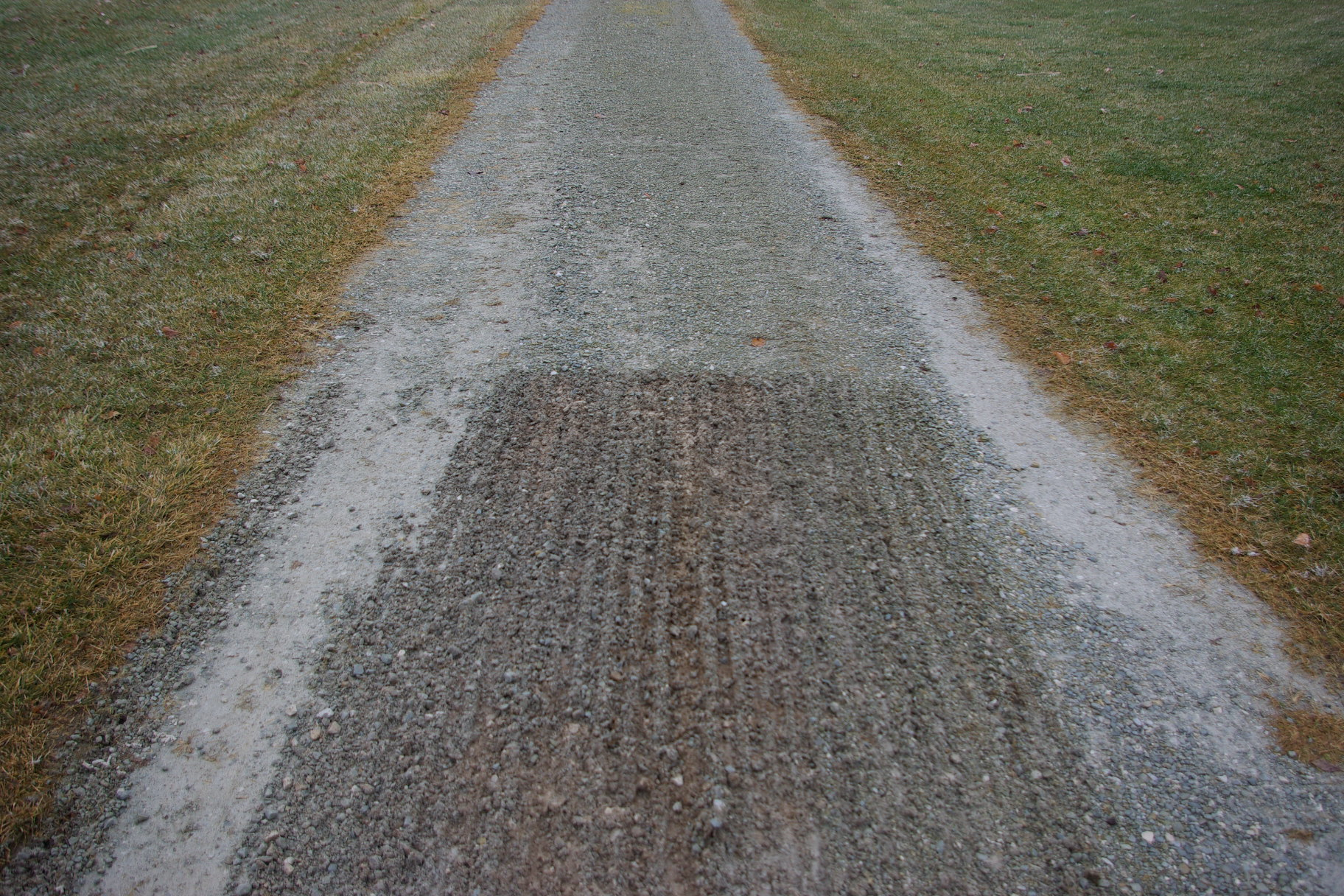 IMGP2686.JPG
