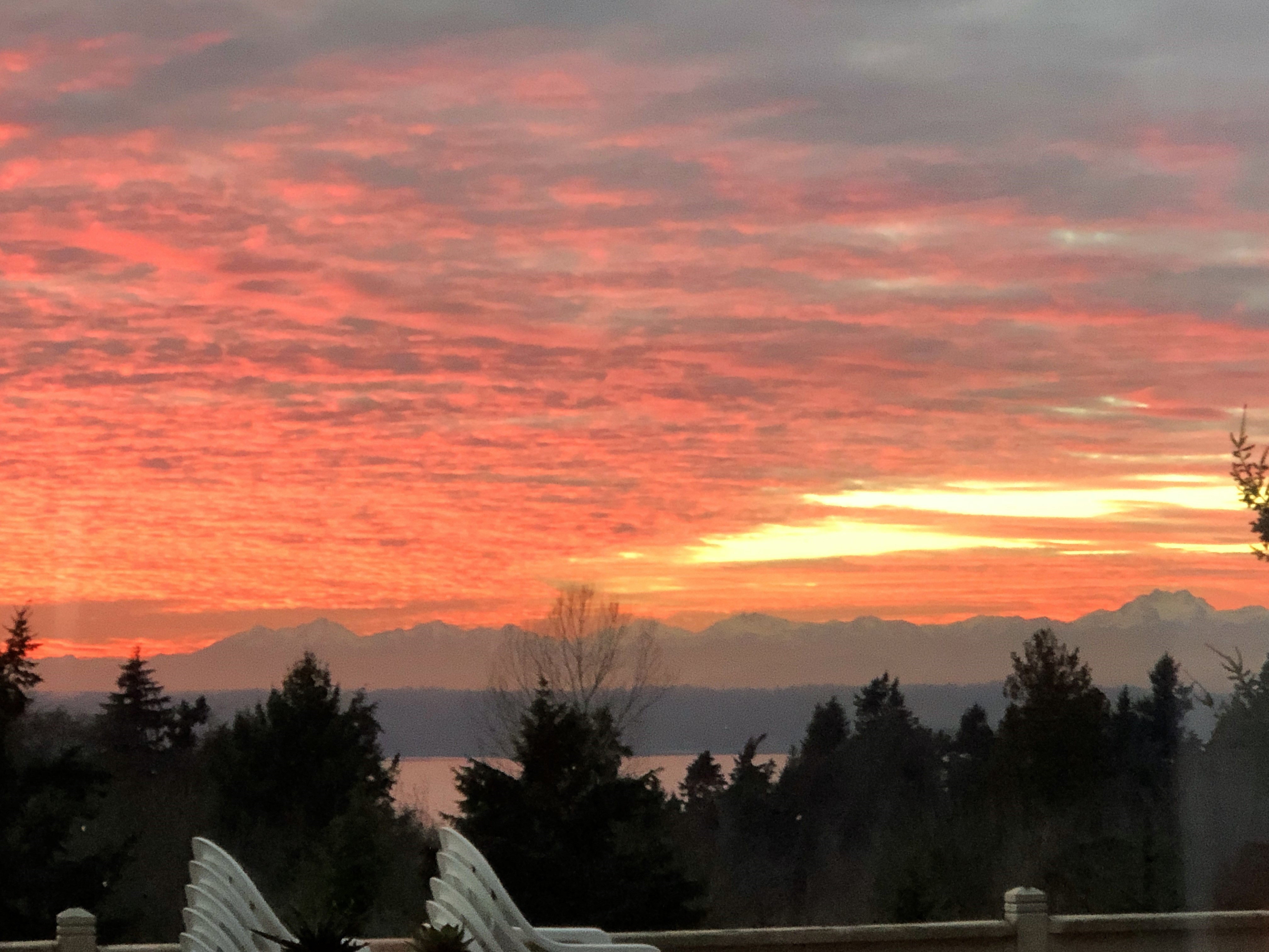 Jan. 30, 2019 amazing sunset (2).jpg