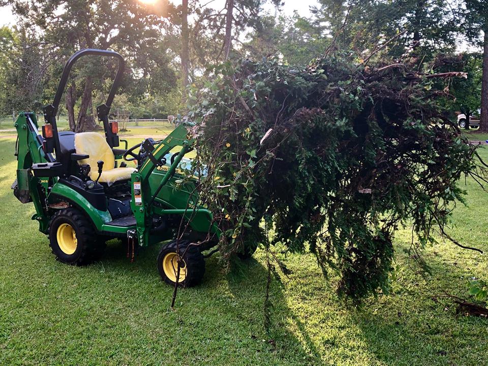 JD1025R12.jpg