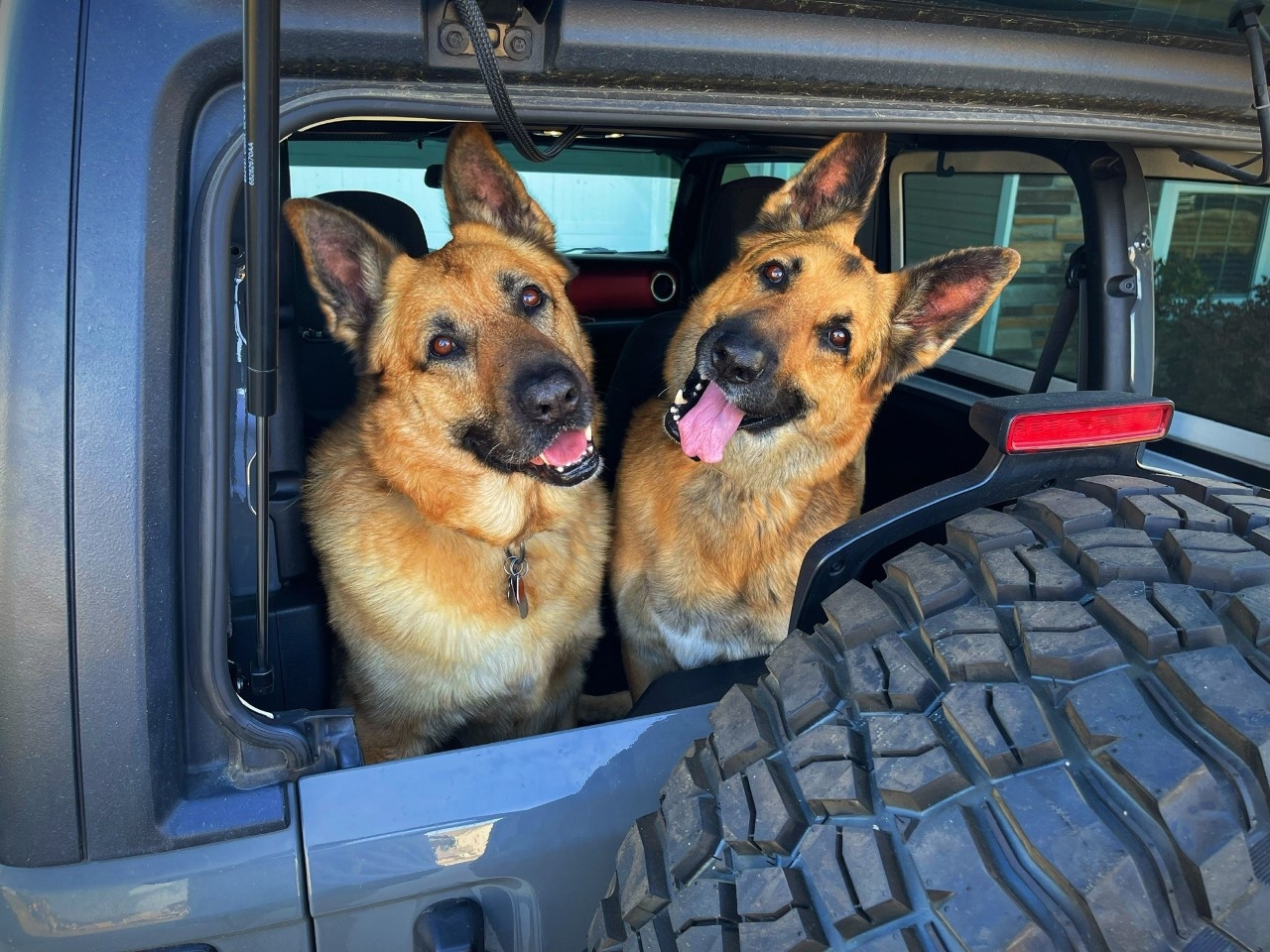 Jeep Doggos.jpg