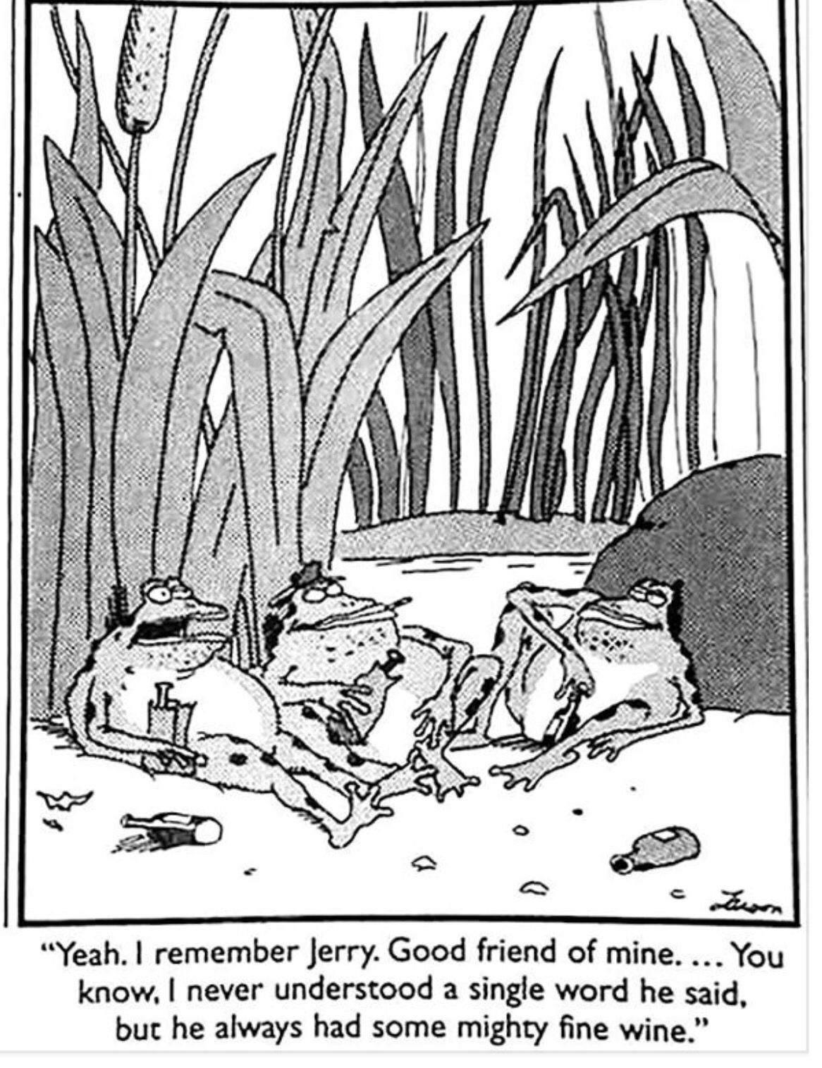 Jeremiah was a bullfrog.jpg