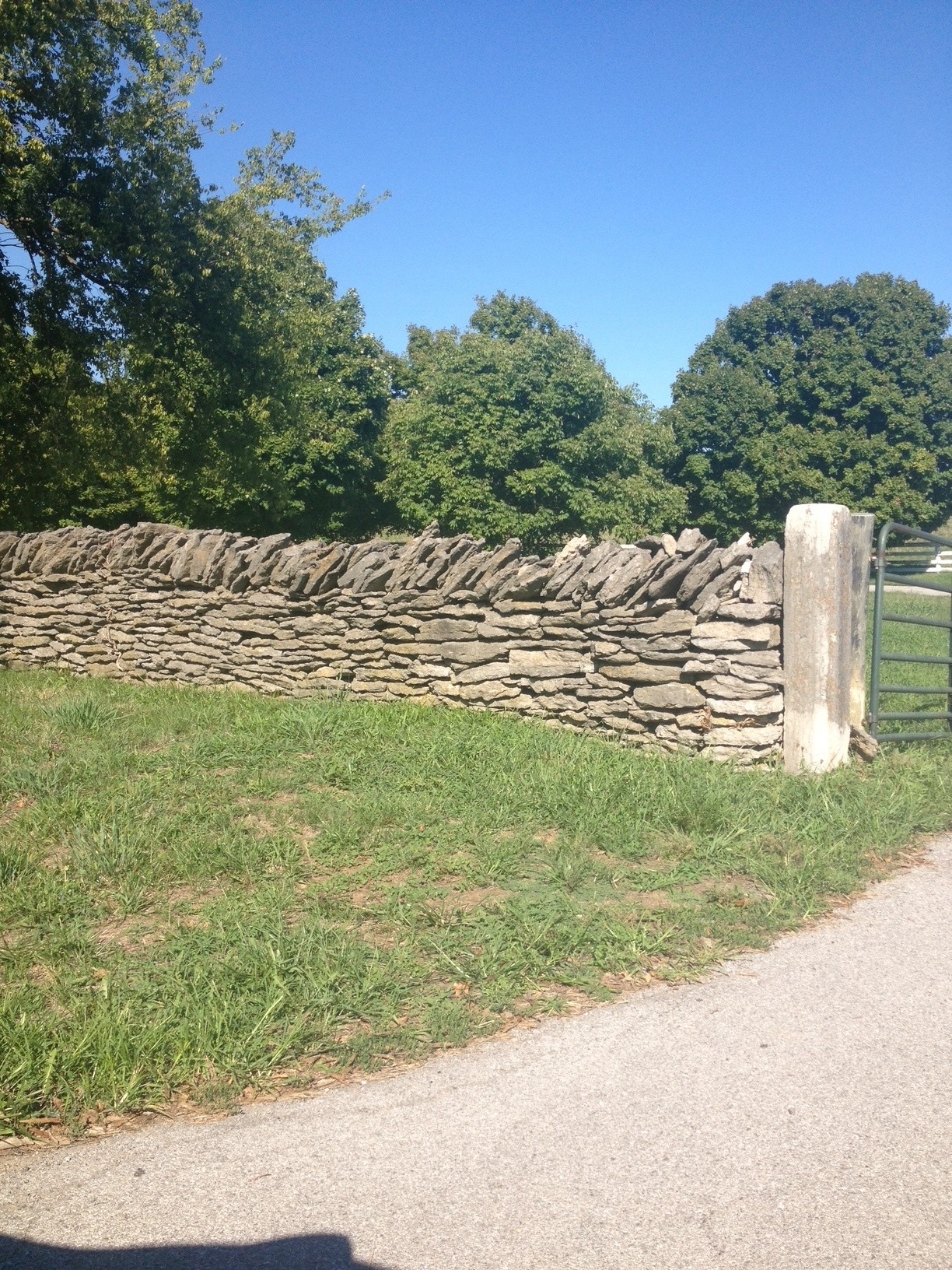 Kentucky Walls 1.jpg