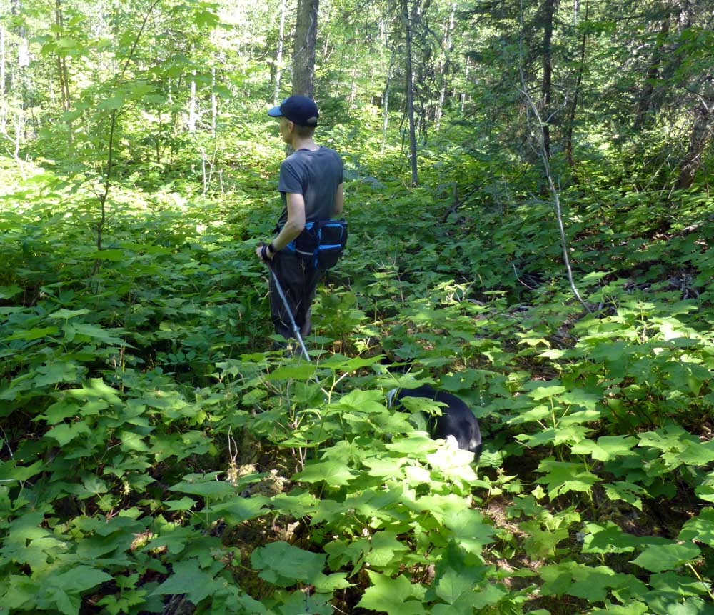 keweetrails0597.jpg