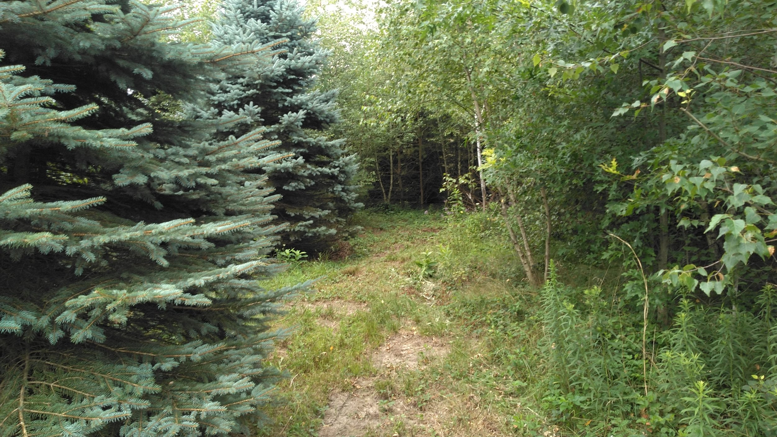 KIMG0486.JPG