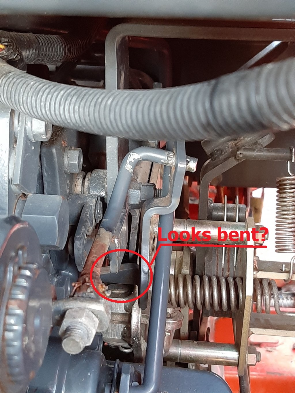 Kubota.jpg