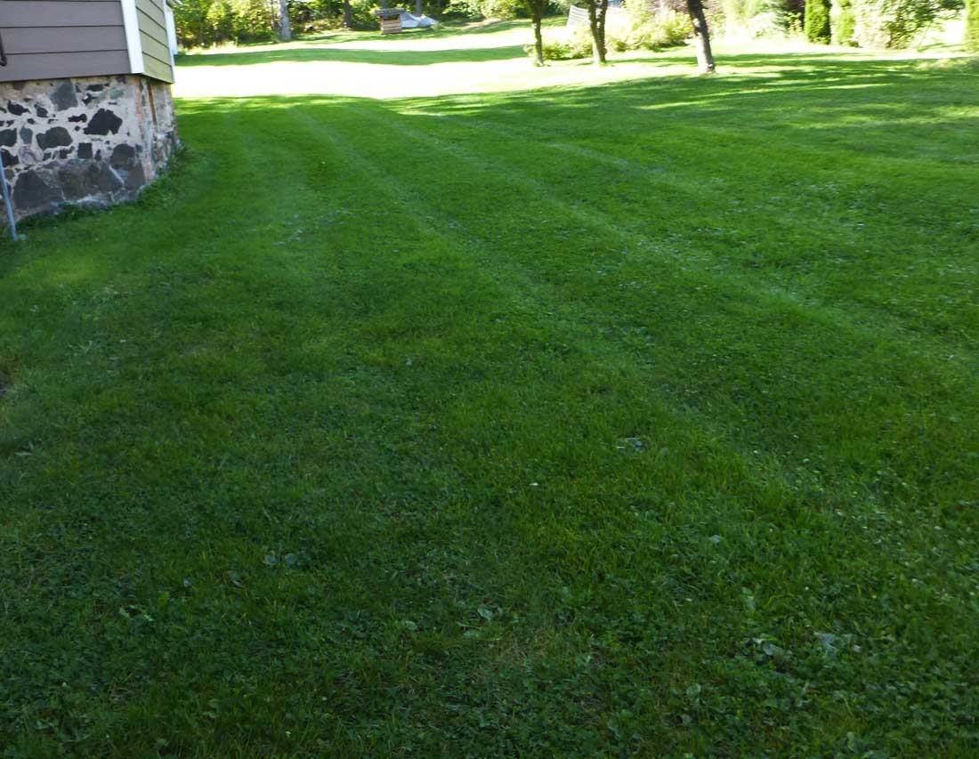 lawn40851.jpg