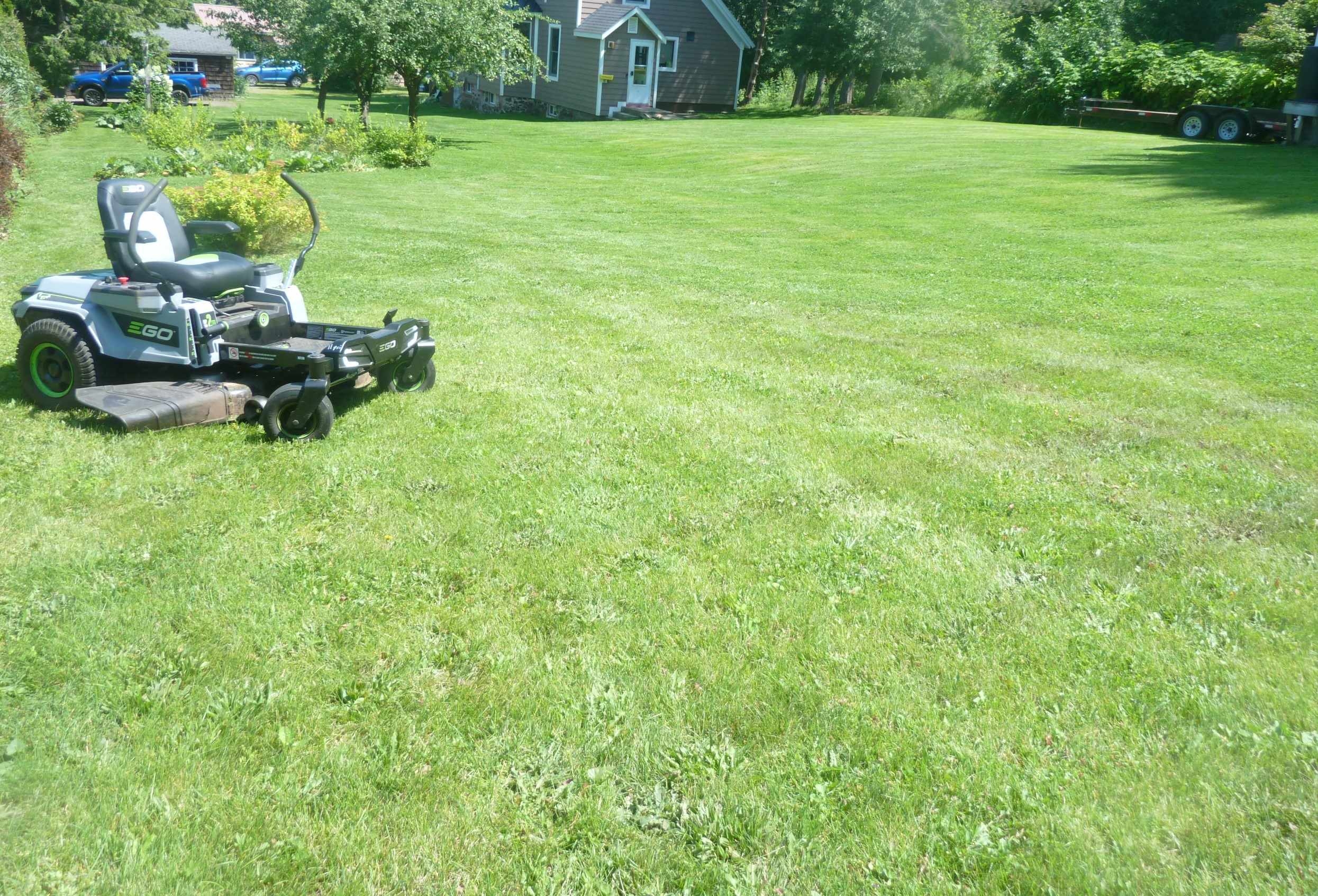 lawn519.JPG